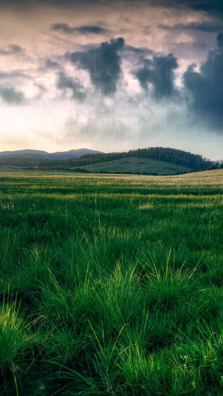 750x1334 Spring iPhone Wallpaper