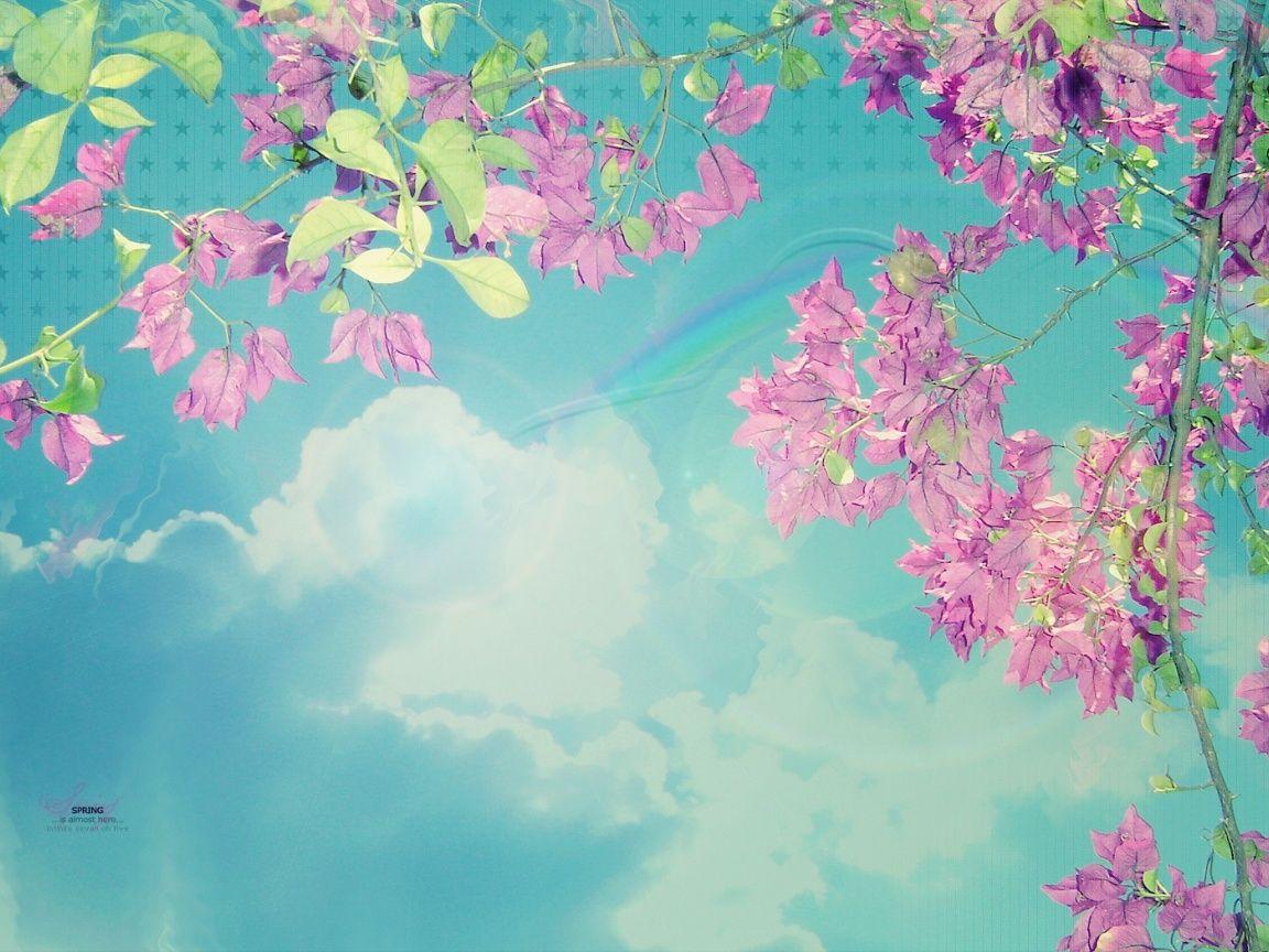 1152x864 Spring Sky desktop PC and Mac wallpaper