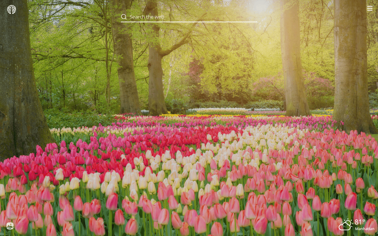 1280x800 Spring Flowers HD Wallpaper New Tab