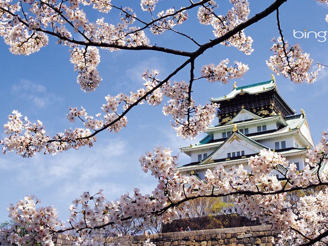 1152x864 Download wallpaper 1152x864 spring, cherry, blossom, palace, japan, architecture standard 4:3 HD background