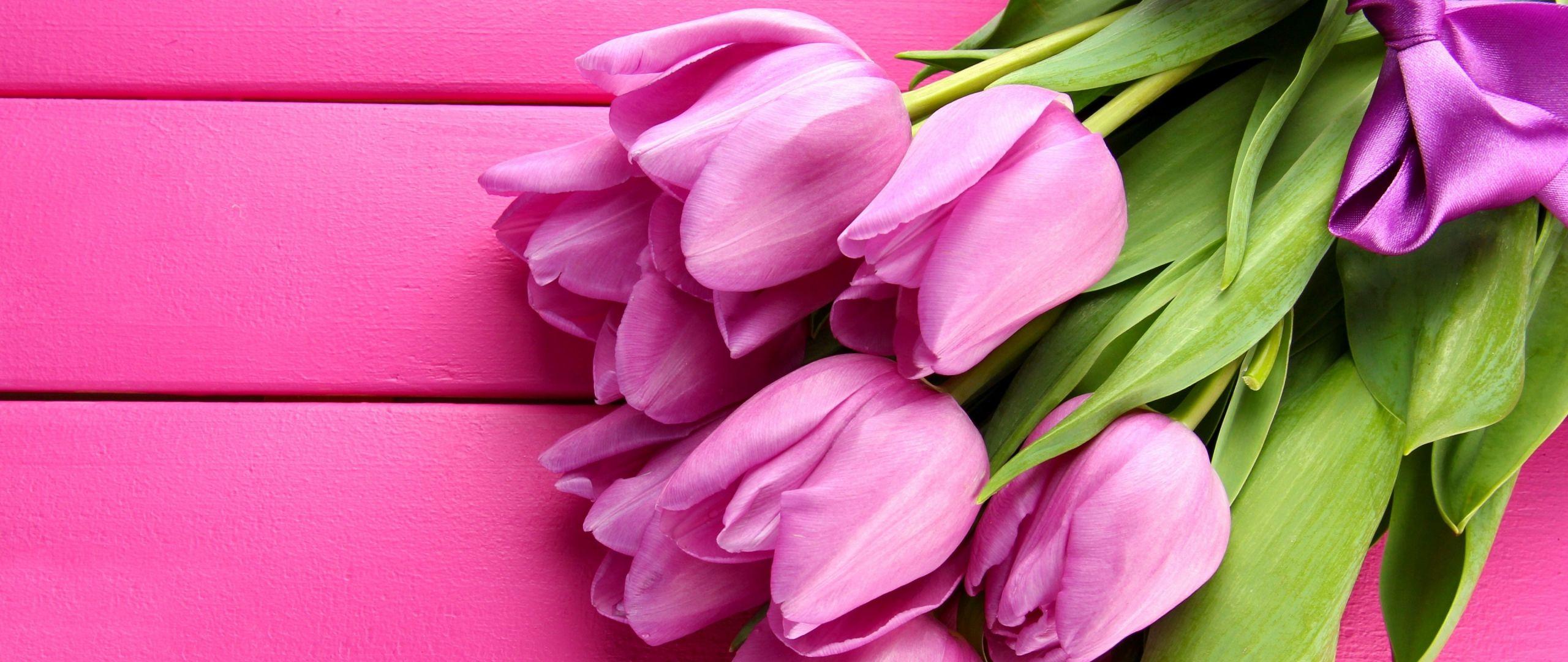 2560x1080 Download Tulip, 4k, HD wallpaper, spring, flower, pink Dual Wide display 1080p wallpaper 2560x1080