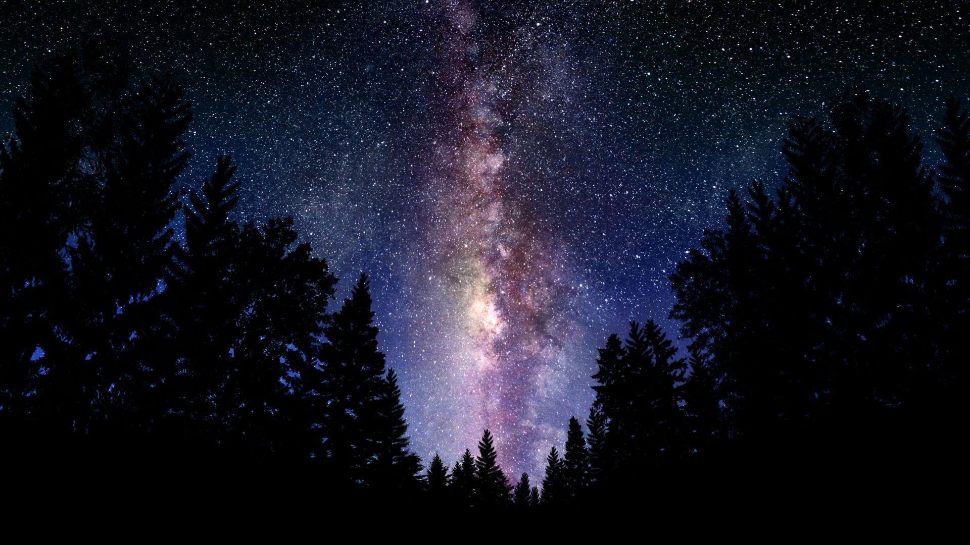 Starry Sky Night Forest Scenery 4K Wallpaper iPhone HD Phone #6360f