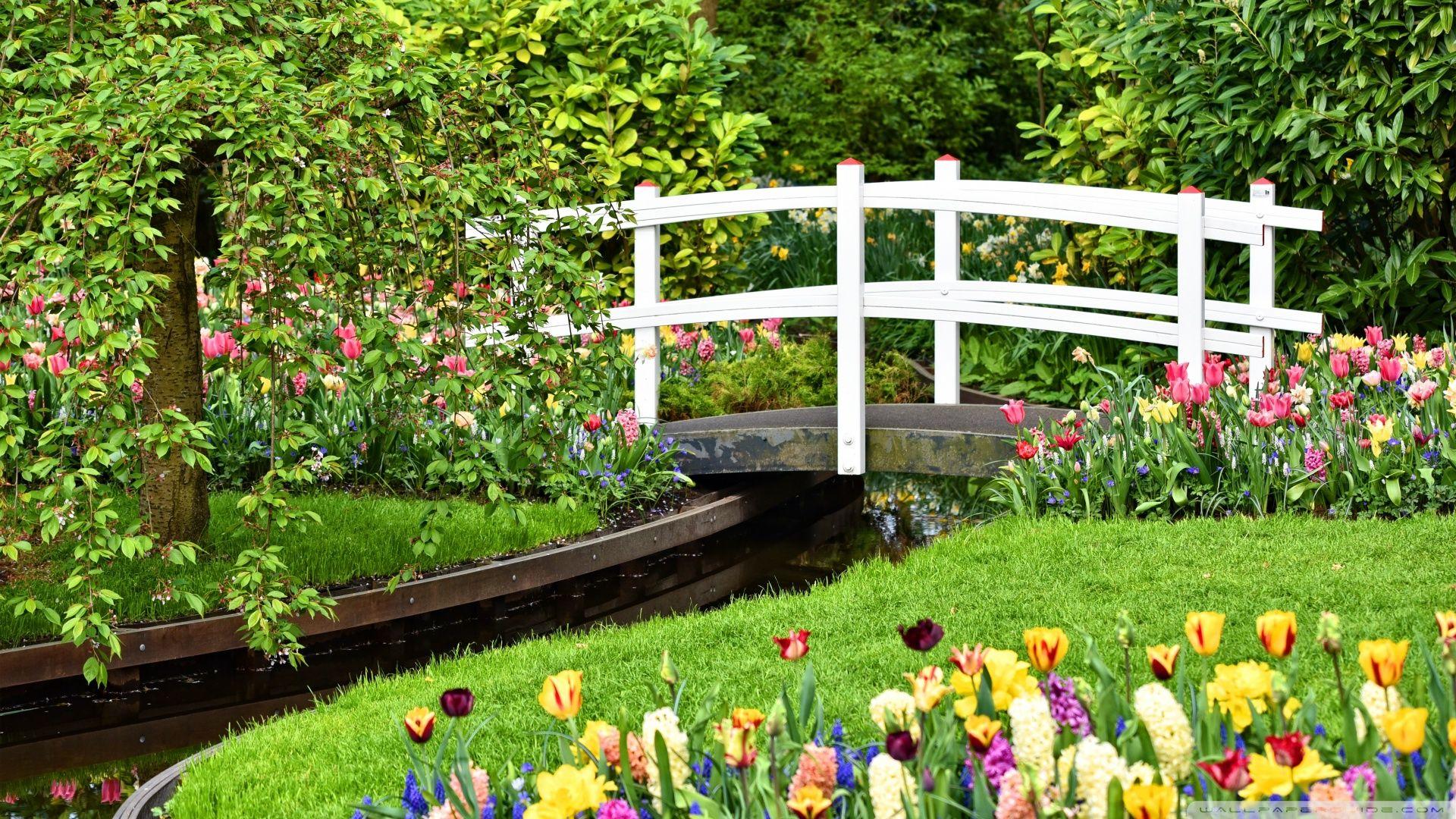 1920x1080 Small Garden Pond with Bridge, Spring Flowers Ultra HD Desktop Background Wallpaper for 4K UHD TV : Widescreen & UltraWide Desktop & Laptop : Tablet