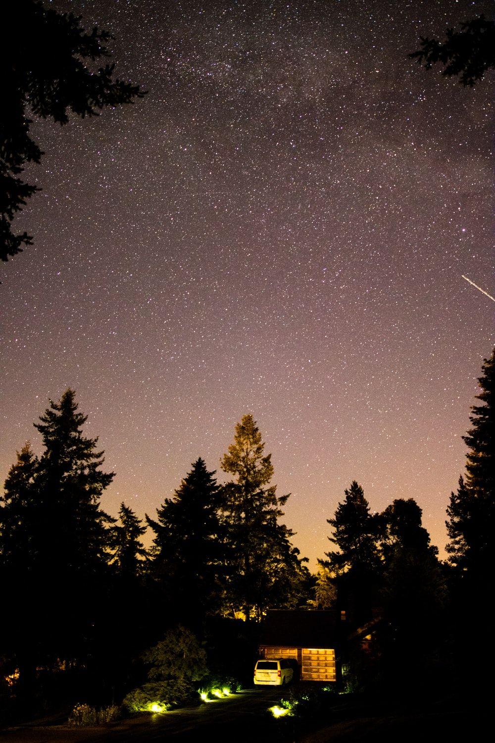 1000x1500 Night Forest Picture. Download Free Image