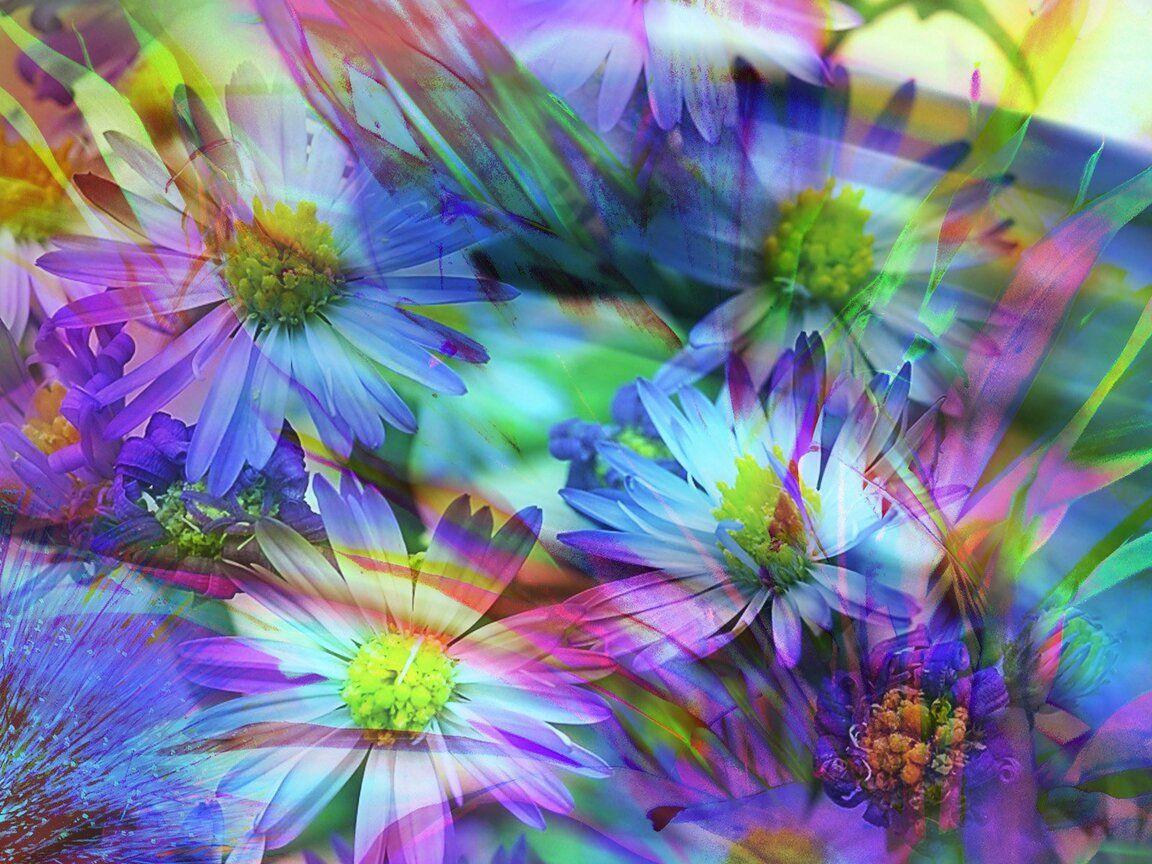 1152x864 Spring Flowers Abstract 1152x864 Resolution HD 4k Wallpaper, Image, Background, Photo and Picture