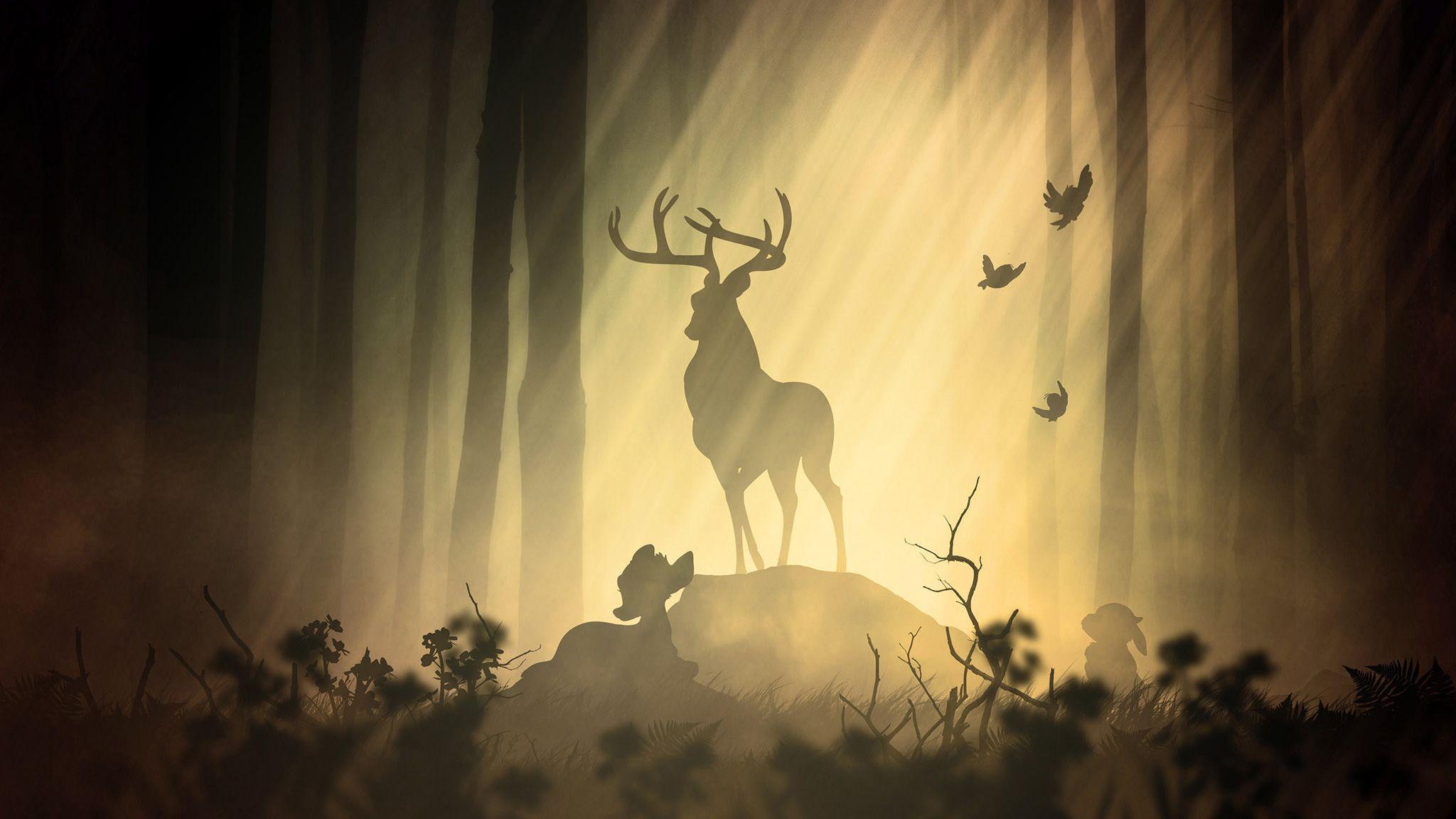 Deer in forest wallpapers top free deer in forest backgrounds
