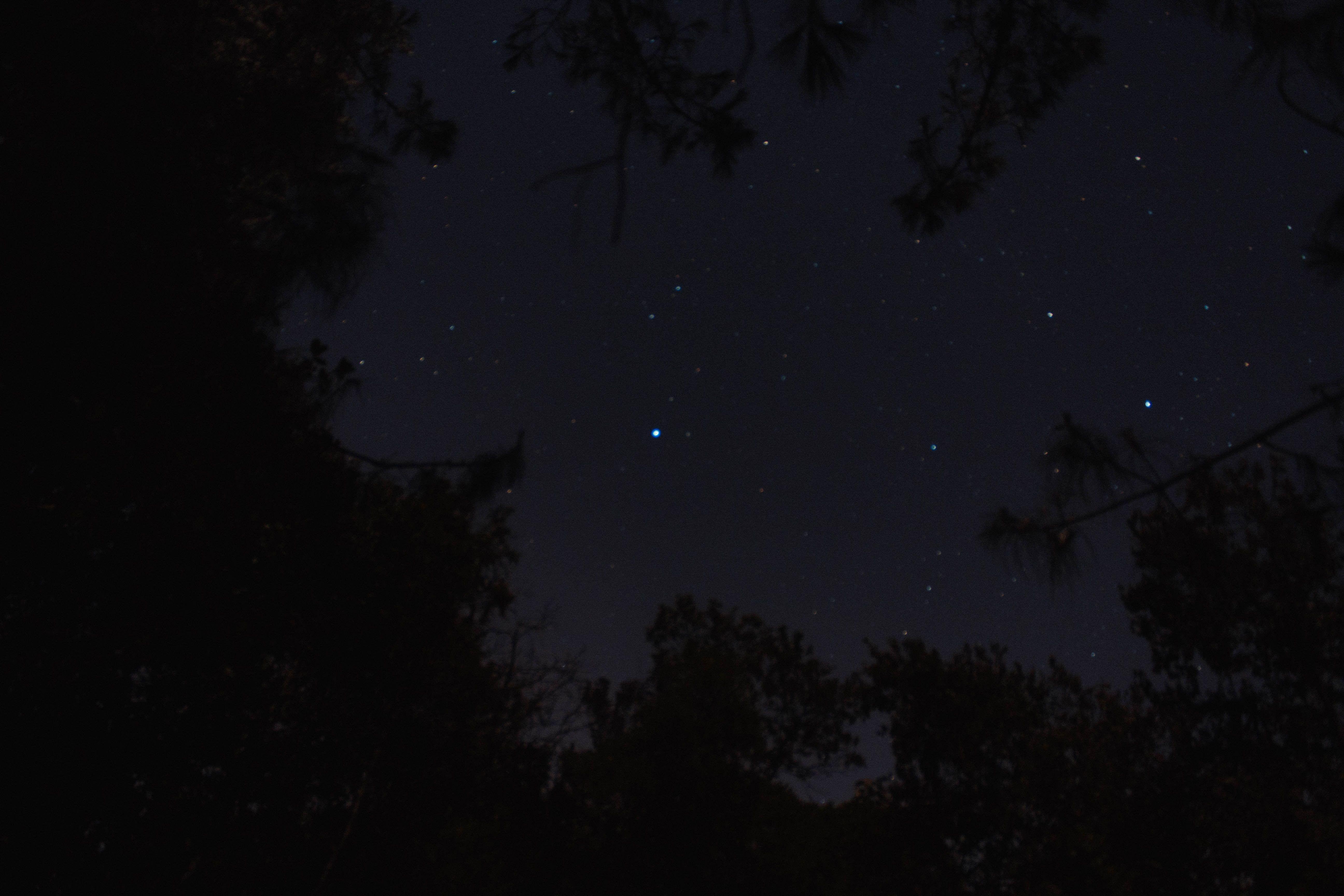 5184x3456 5184x3456 #sky, #star, #PNG image, #night, #tree, #dark, #nature, # forest, #silhouette, #wallpaper. Mocah.org HD Desktop Wallpaper