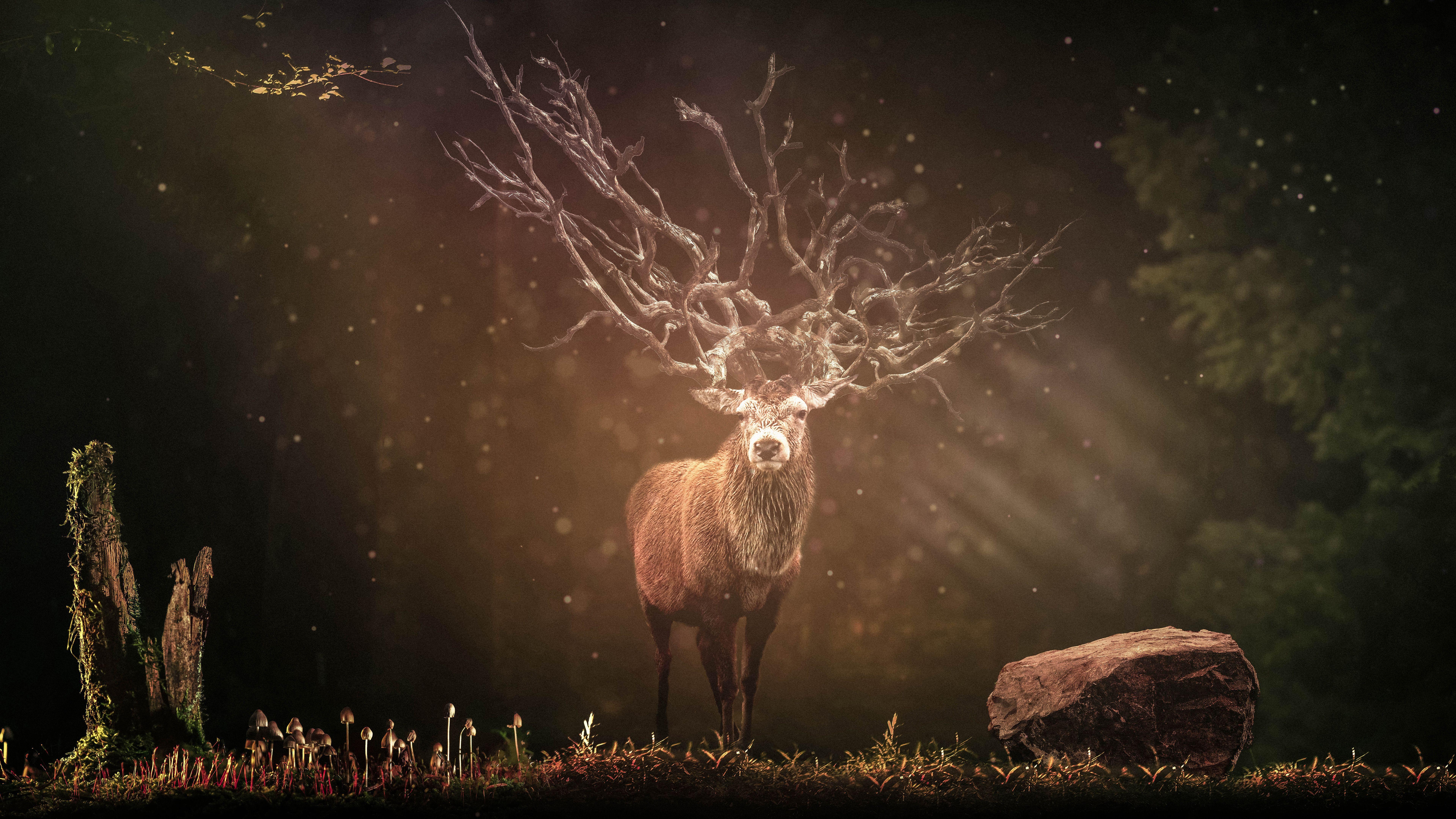 7680x4320 Deer in Forest Wallpaper