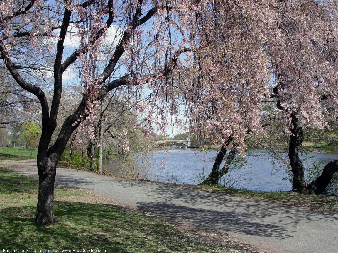 1152x864 Nature Springtime Free Desktop Wallpaper for PC & Mac