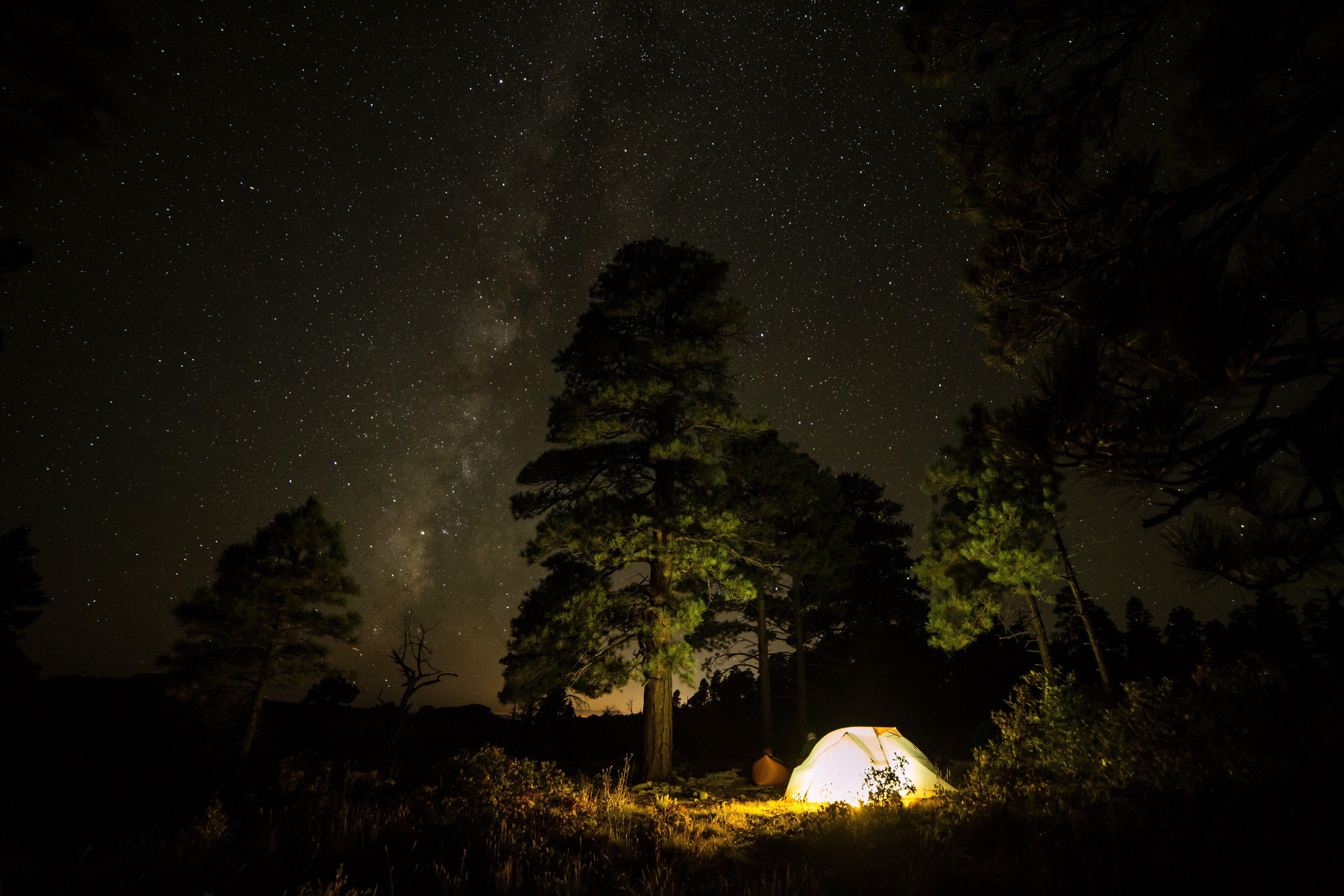 5472x3648 #nature, #night, #stars, #night sky, #forest, wallpaper. Mocah.org HD Desktop Wallpaper