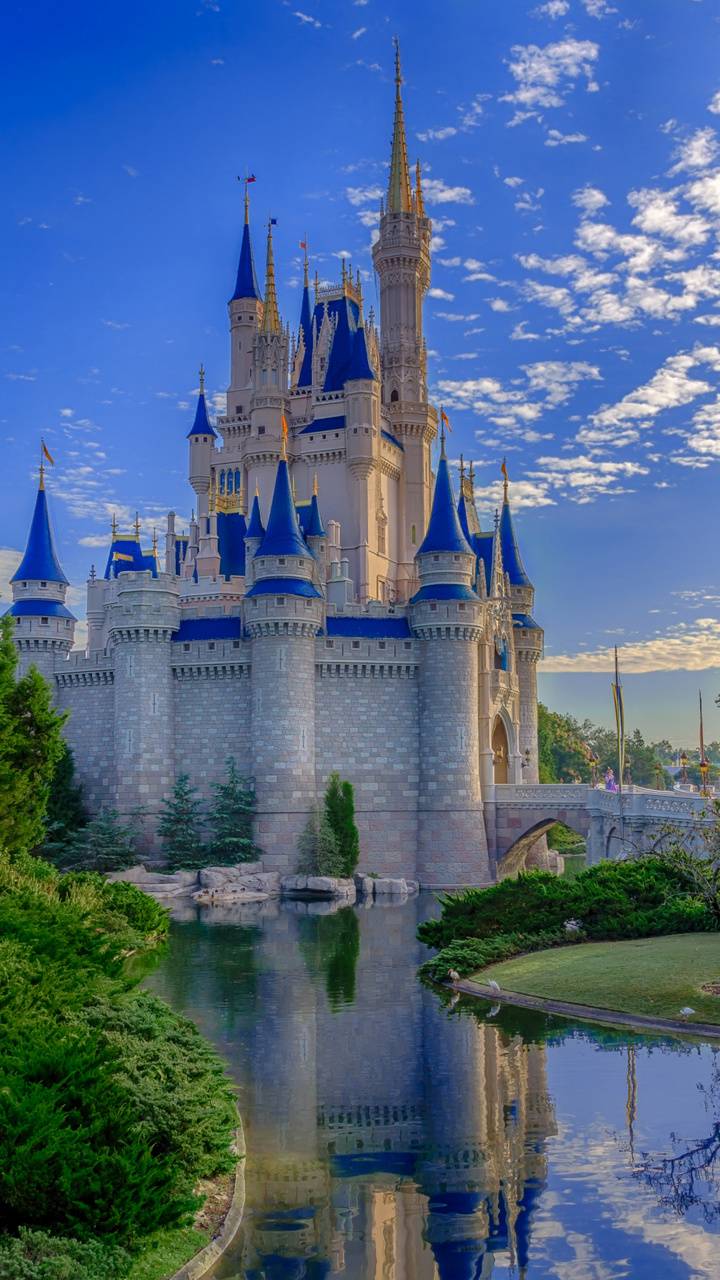 720x1280 Cinderella Castle wallpaper