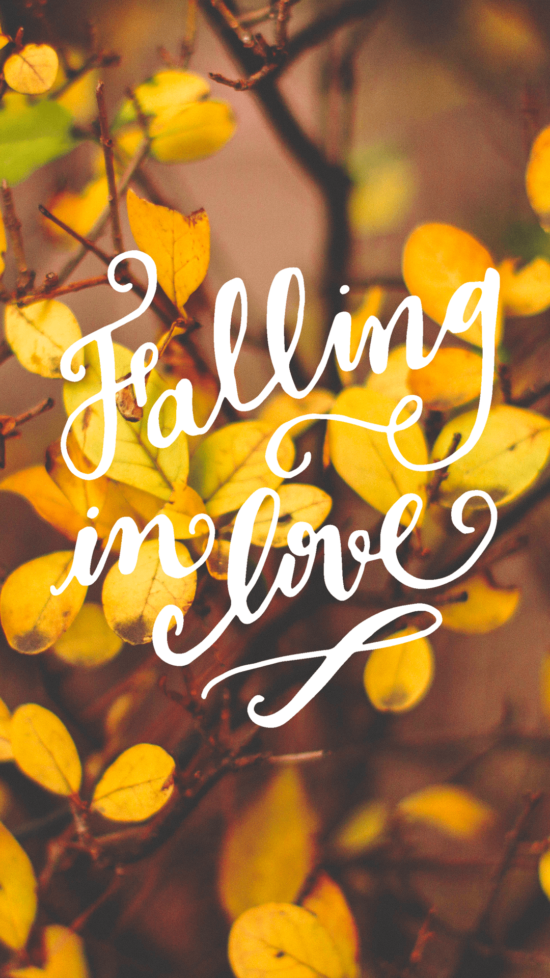 1080x1920 Fall in Love Wallpaper. Fall Wallpaper, Beautiful Waterfall Wallpaper and Cute Fall Wallpaper