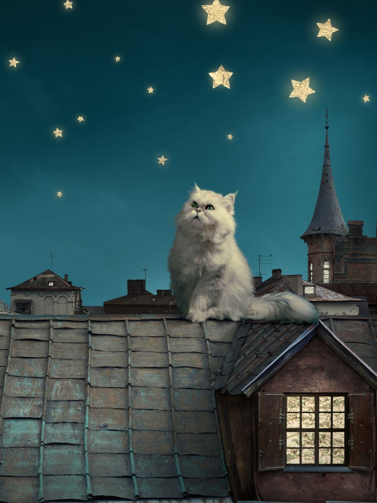 1200x1600 Fairy Tale Mobile Wallpaper