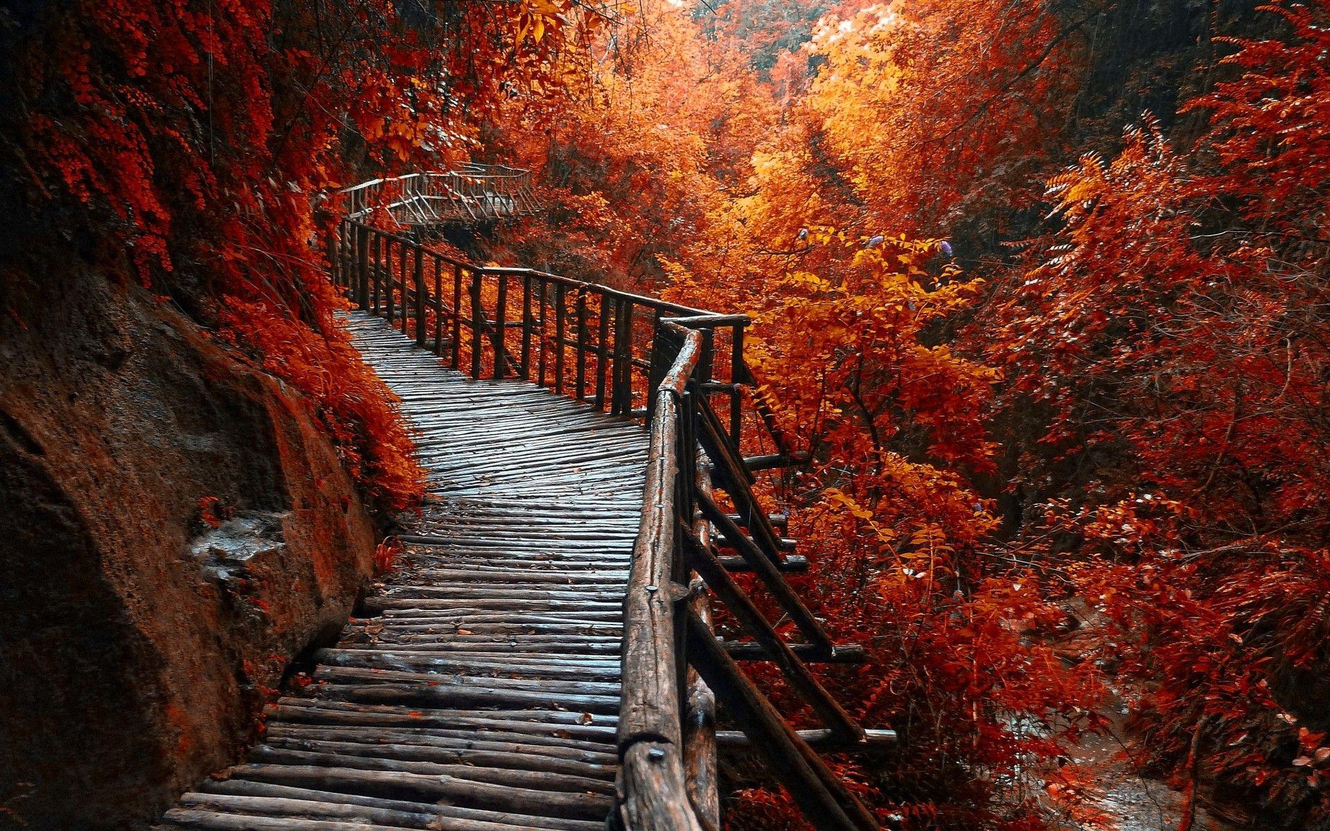1920x1200 Walkway Desktop Background. Beautiful Widescreen Desktop Wallpaper, Desktop Wallpaper and Naruto Desktop Background