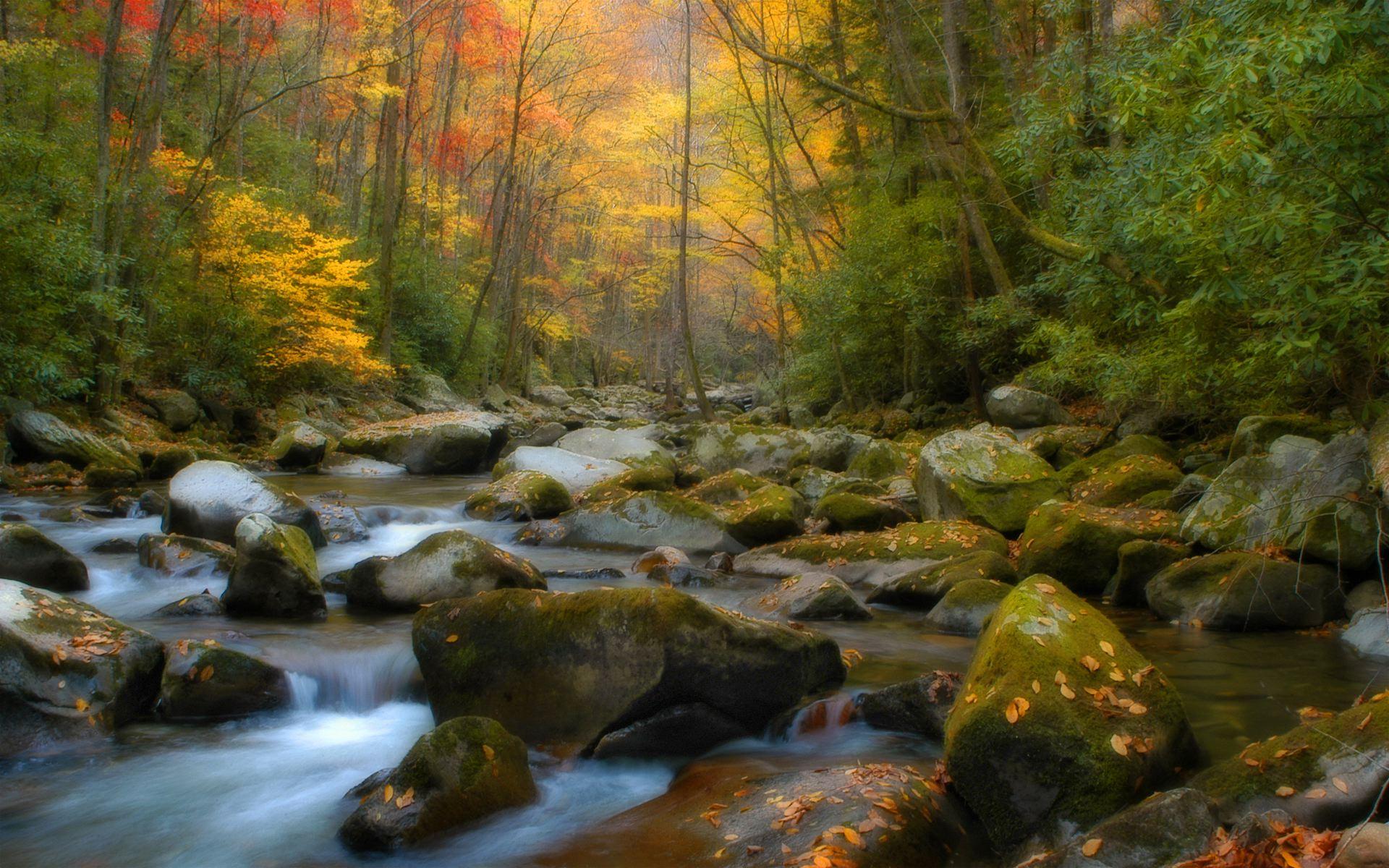 1920x1200 scenic wallpaper autumn fall Desktop Wallpaperk HD