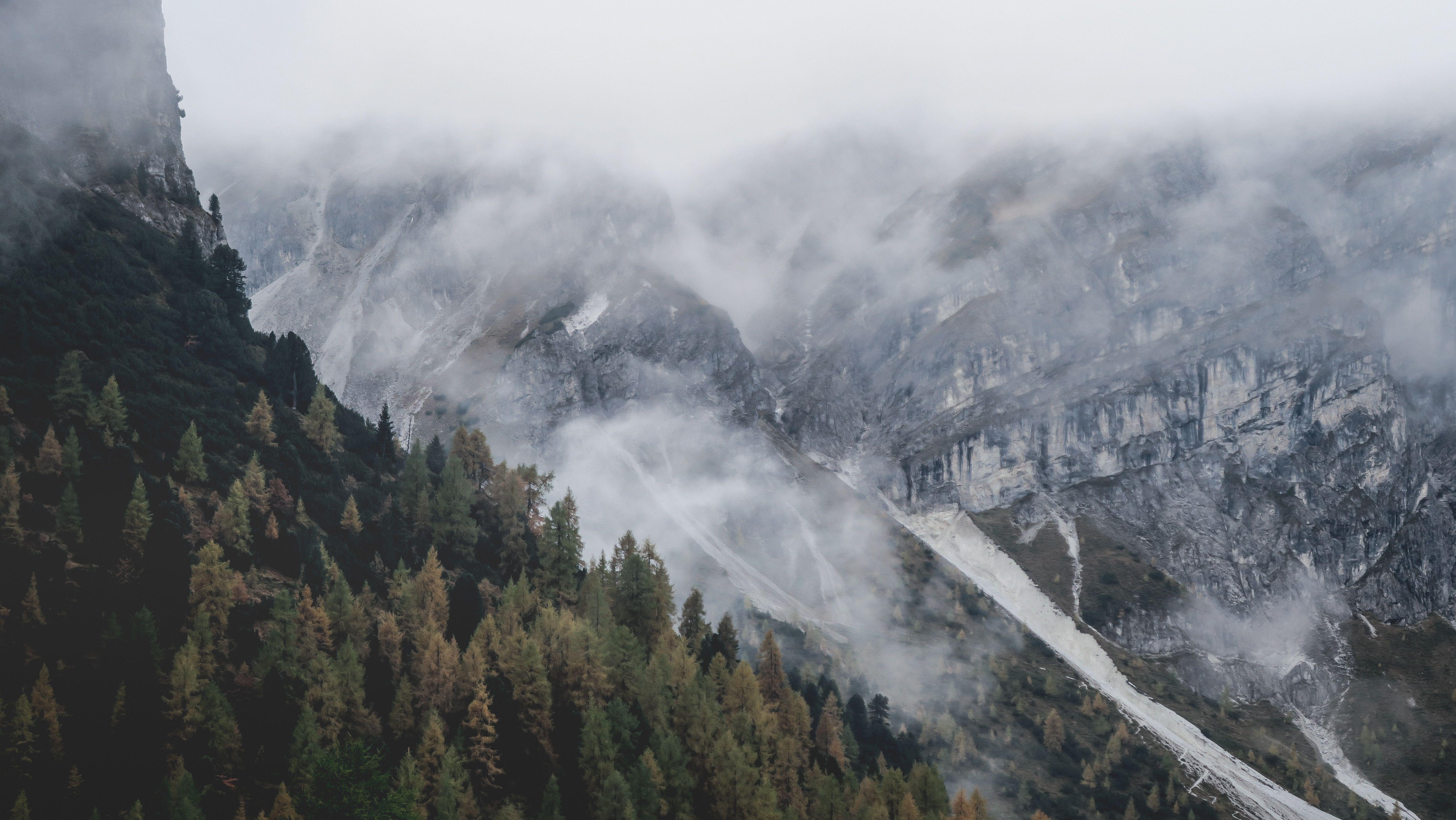 5472x3080 5472x3080 #summit, #forest, #view, #chill, #nature, #mist, #serene, #photography, #fog, #photographer, #natural elevation, #misty, #rock, #adventure, #wood, #discover, #landscape, #misty forest, #mountain, #Creative Commons image, #tree