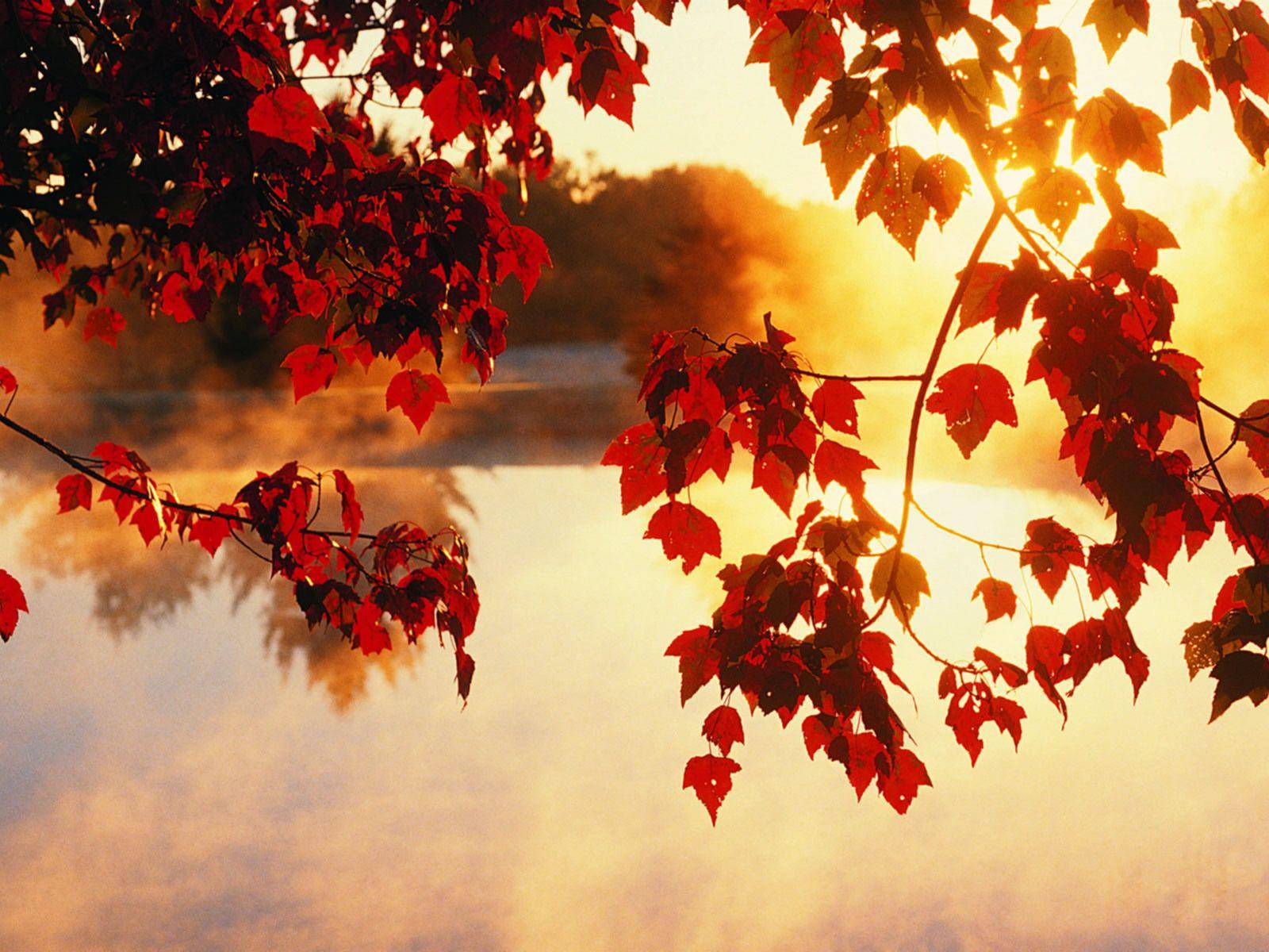 1600x1200 Autumn Wallpaper