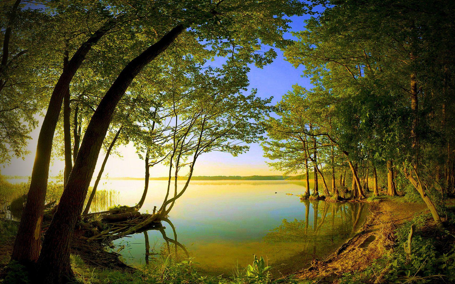 1920x1200 Free download Nature Wallpaper Summer Fall HD 2924 Wallpaper Cool Walldiskpaper [1920x1200] for your Desktop, Mobile & Tablet. Explore Nature Fall Wallpaper. Fall Wallpaper Background, Free Fall Wallpaper, Fall Wallpaper For Computer