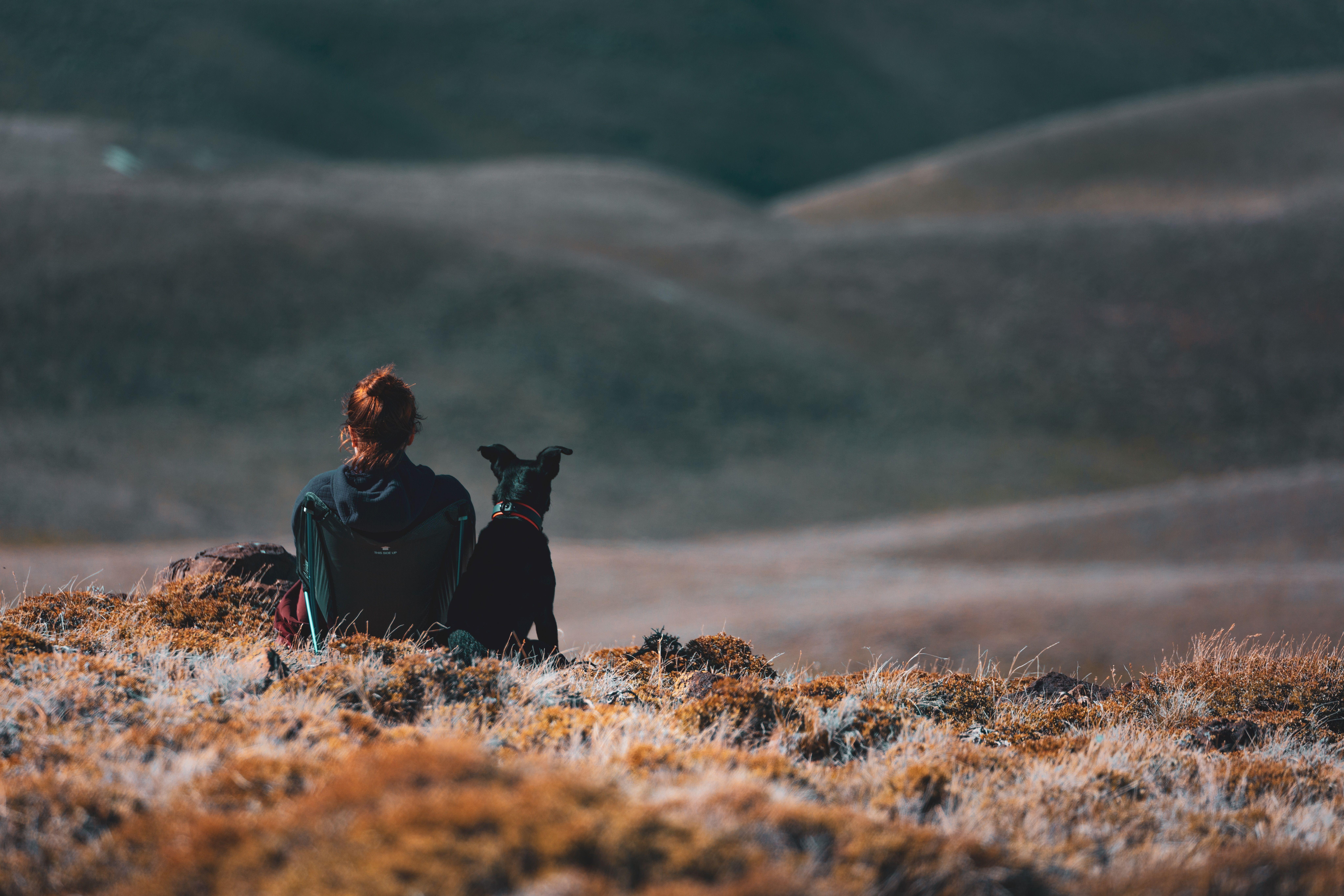 8192x5461 Download wallpaper 8192x5461 girl, dog, friends, mountains, trip HD background