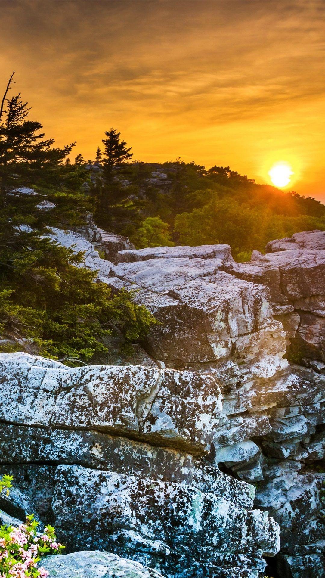 1080x1920 Virginia Wallpaper