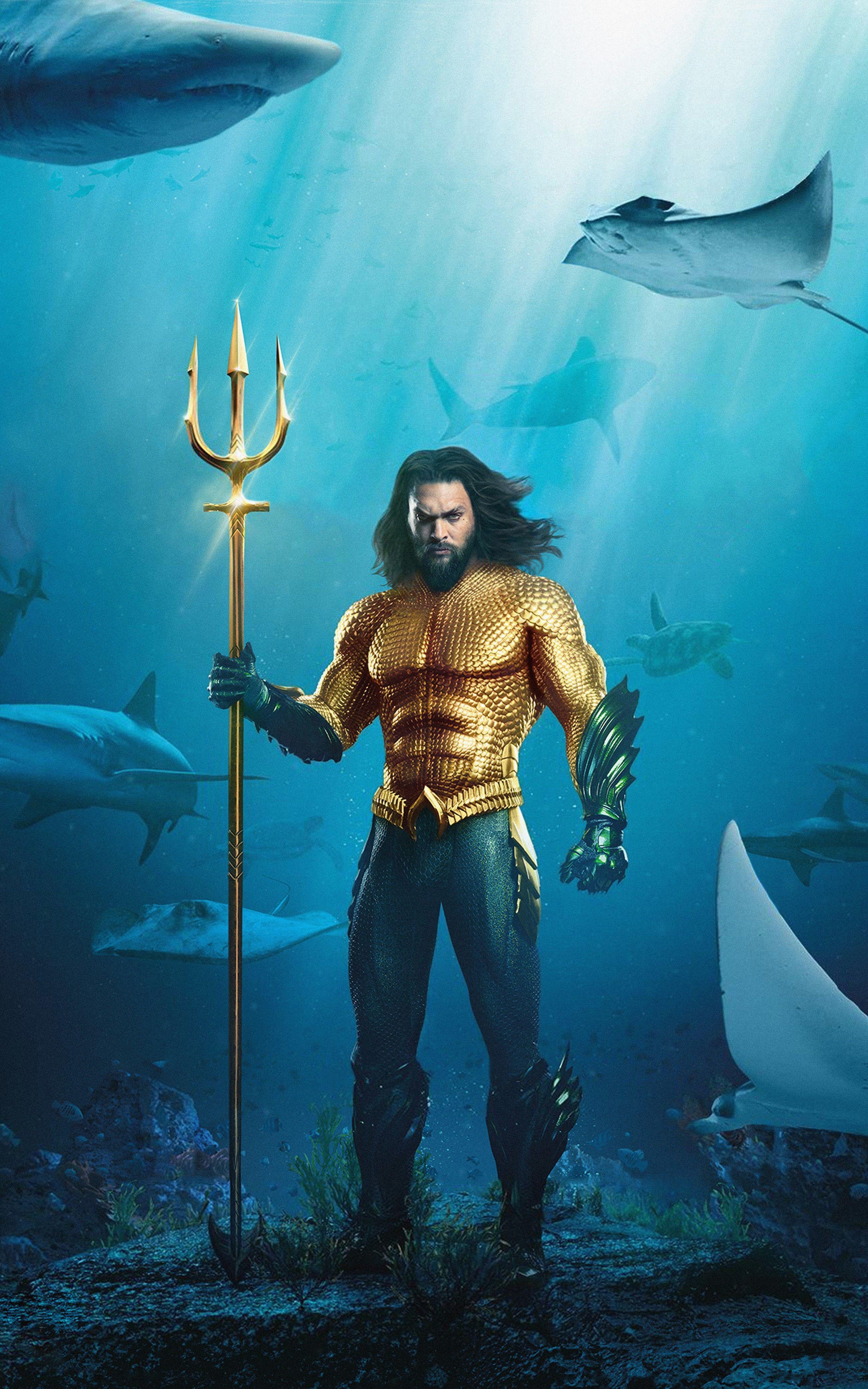 2500x4000 DC Extended Universe. Superhero poster, Aquaman Aquaman