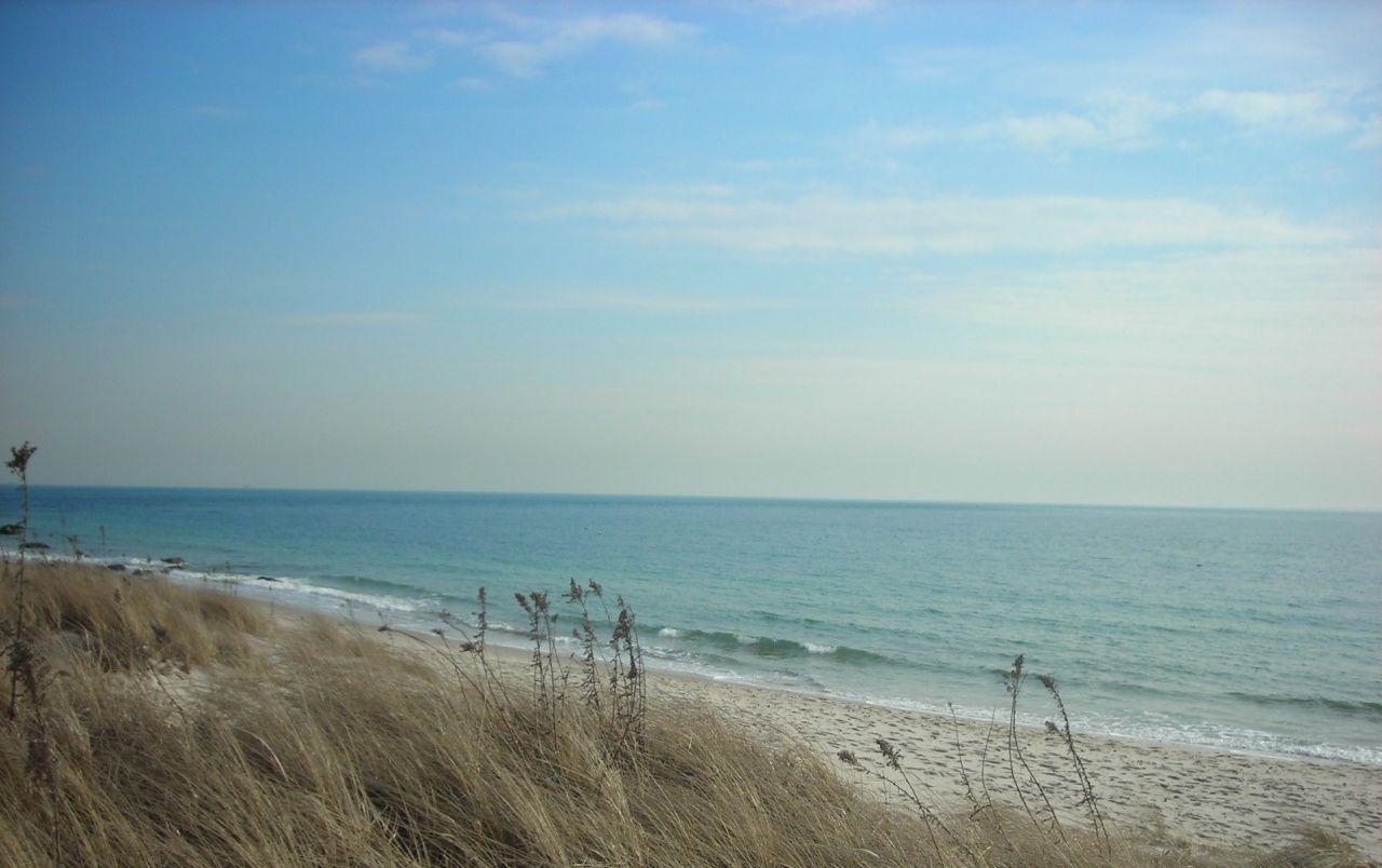1280x804 Ocean Sky Beach & Grass wallpaper. Ocean Sky Beach & Grass
