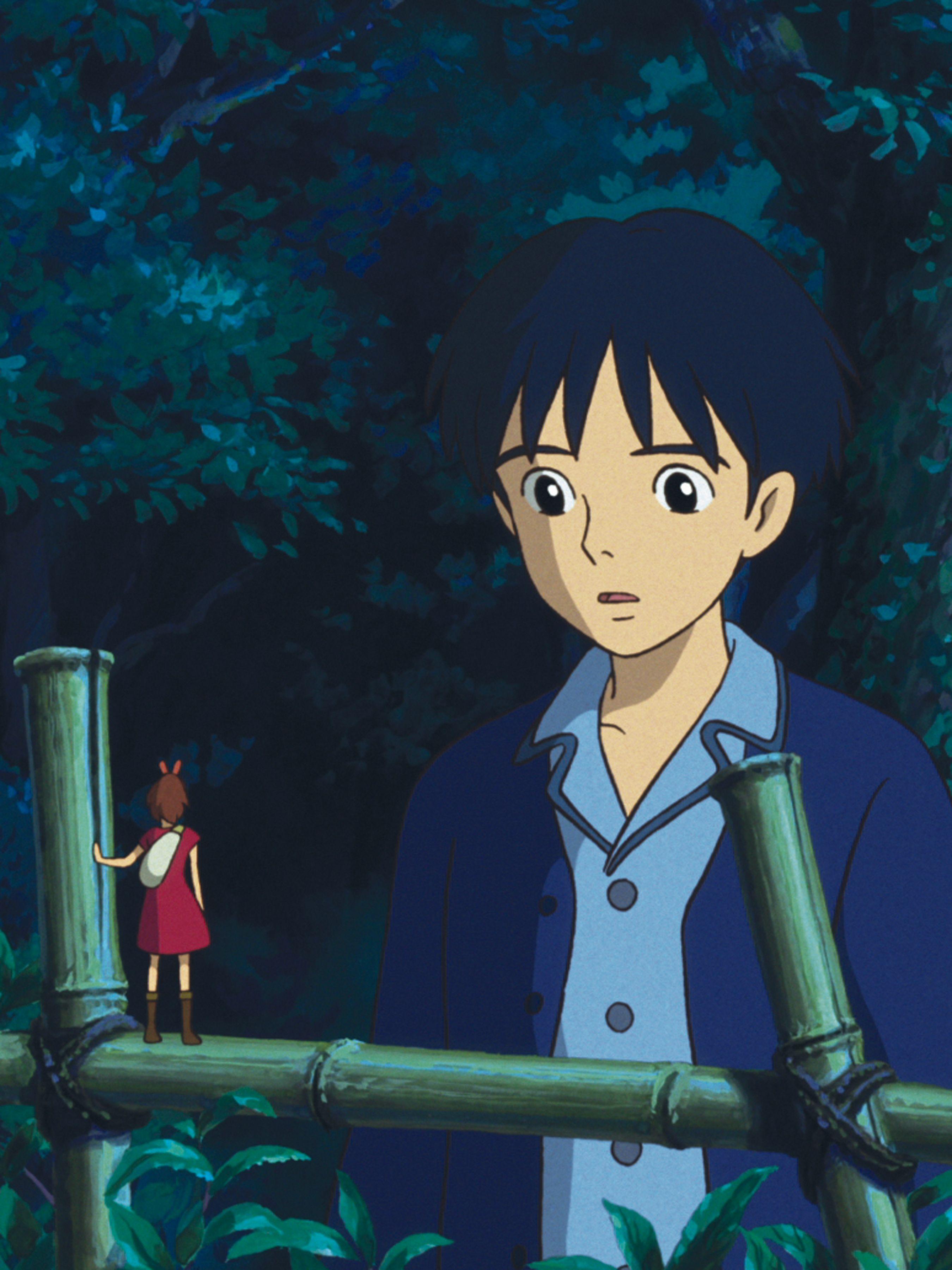 2700x3600 Most viewed The Secret World Of Arrietty wallpaperK Wallpaper
