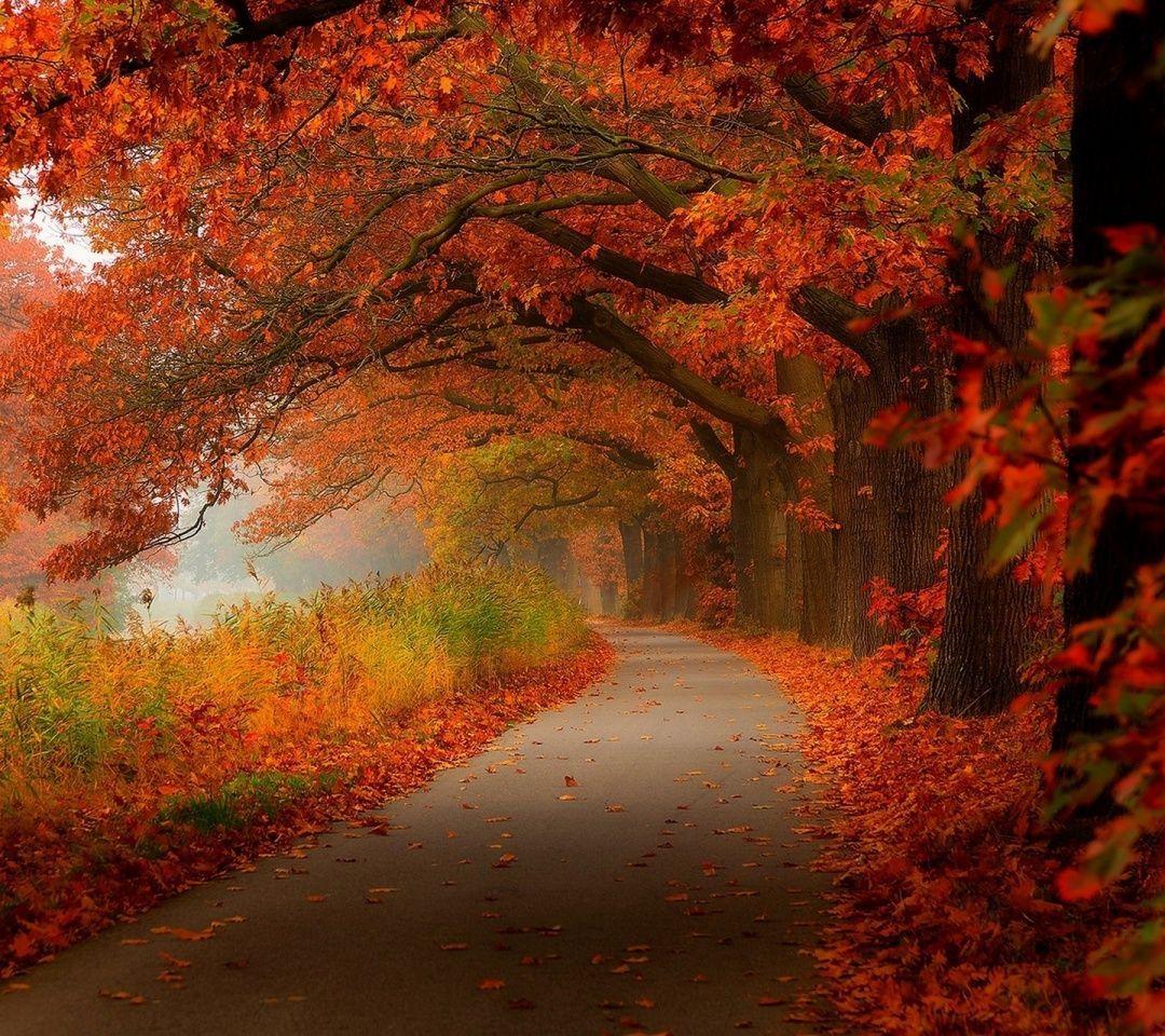 1080x960 1080X960 WallpaperX960 Wallpaper, 1080X960 HD Wallpaper and