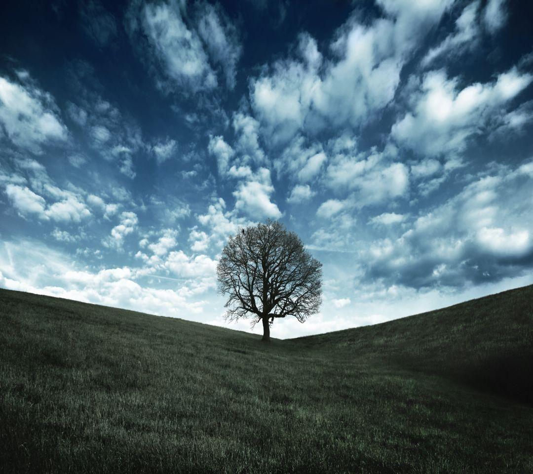 1080x960 Background HD Wallpaper