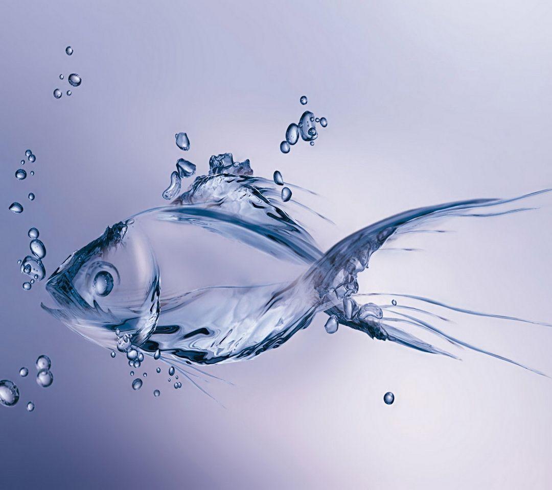 1080x960 Animated Moving Wallpaper For Mobile Free Download Best HD