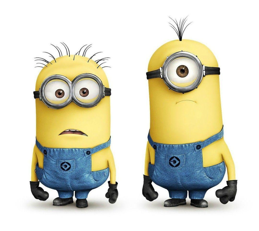 1080x960 Minions, Wallpaper, , Movie For Kids, HD, Free, 1080x960