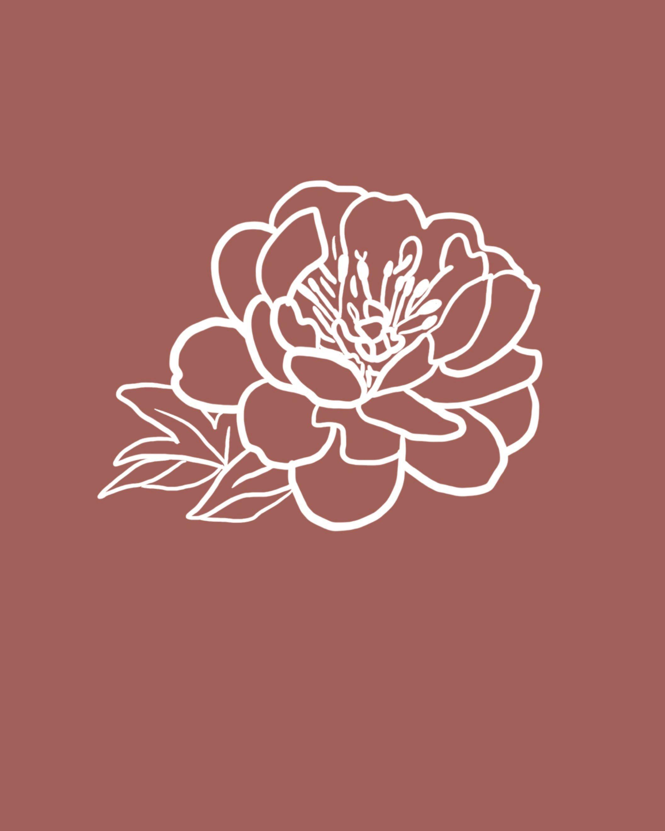 2112x2640 September Birth Flower: Peony. Birth Flowers, September Birth Flower, Flowers