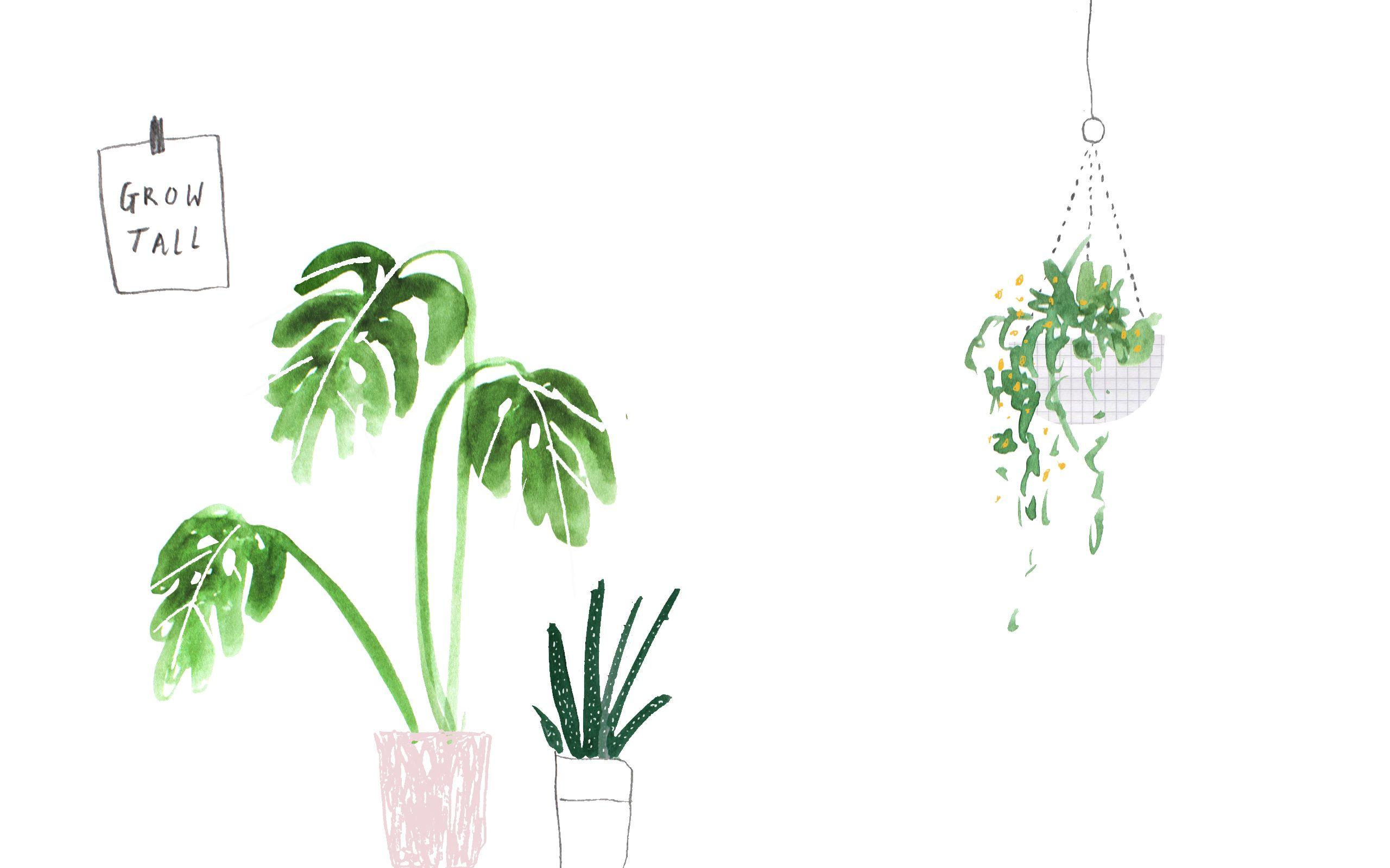 Green Plant Aesthetic Wallpapers on WallpaperDog