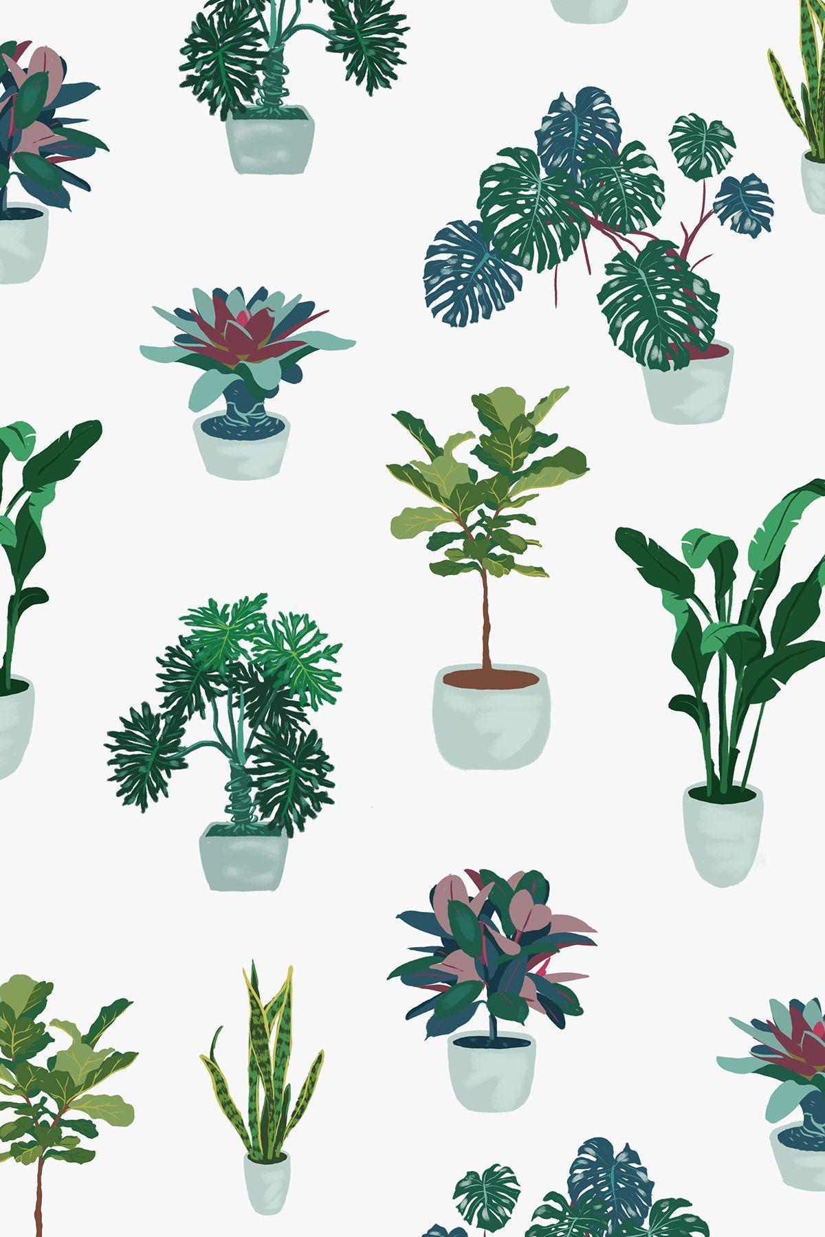1200x1800 The Green Indoors Illos. Plant drawing, Plant sketches, Plant illustration
