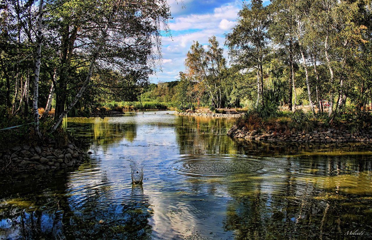 1280x827 Wallpaper Hungary Gyongyos HDRI Nature park Pond Scenery