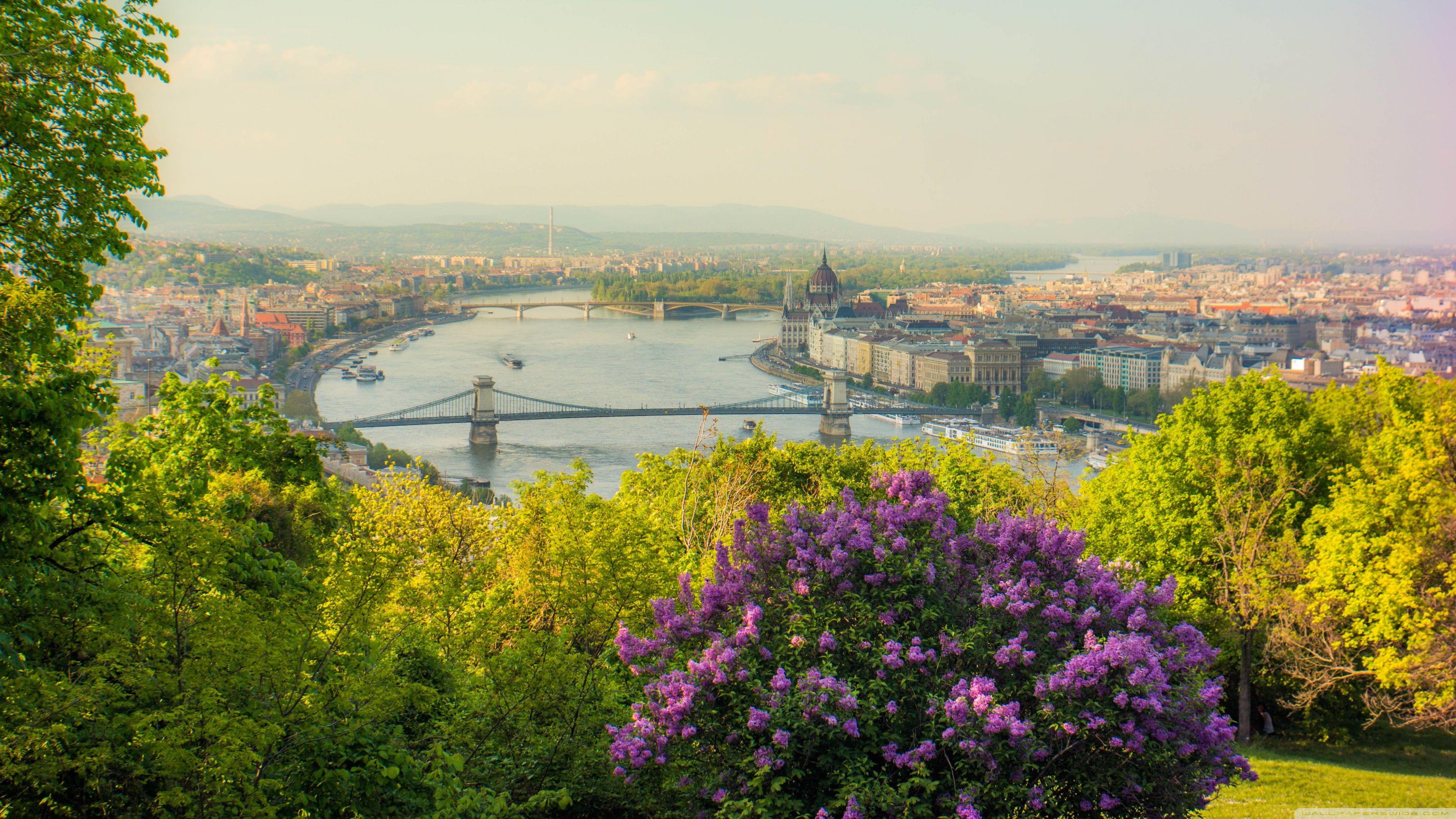 3554x1999 Budapest Citadel Ultra HD Desktop Background Wallpaper for 4K UHD TV : Widescreen & UltraWide Desktop & Laptop : Tablet