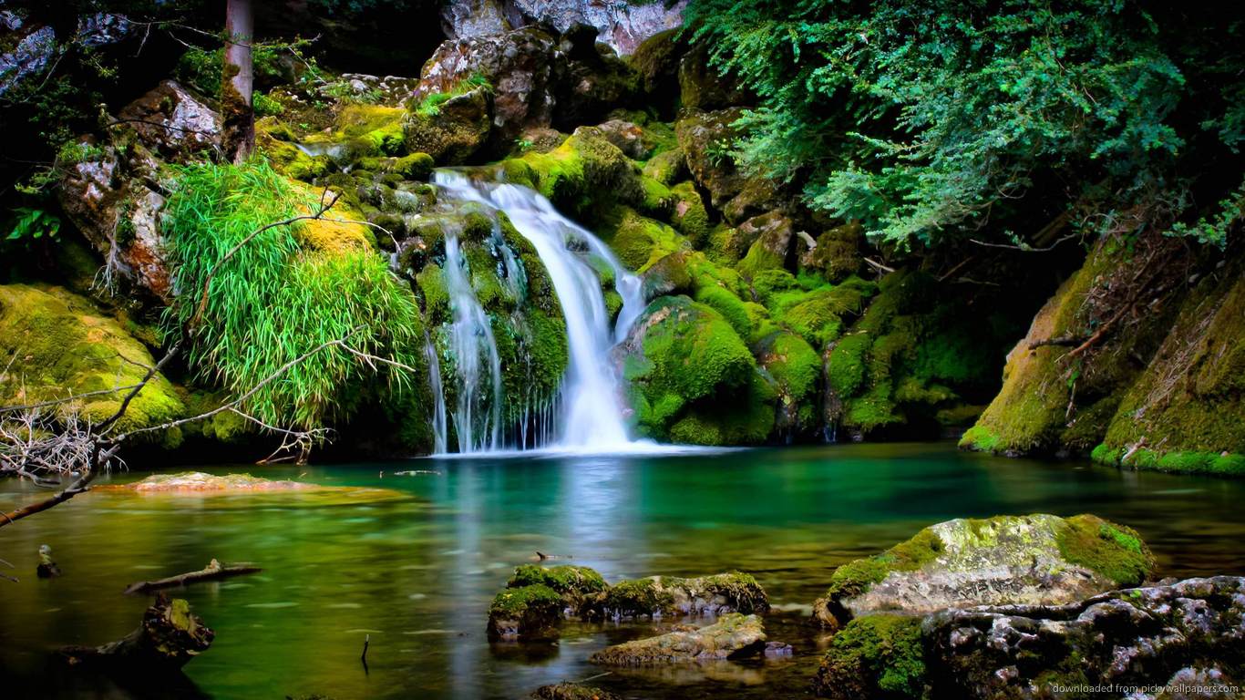 1366x768 The Amazon Rainforest
