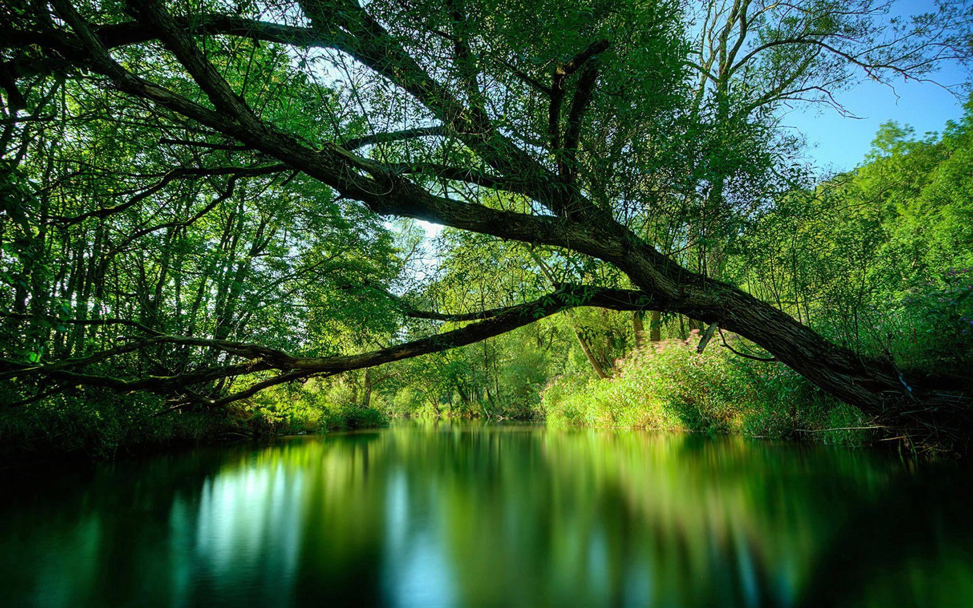 1920x1200 Plan A Trip To Amazon