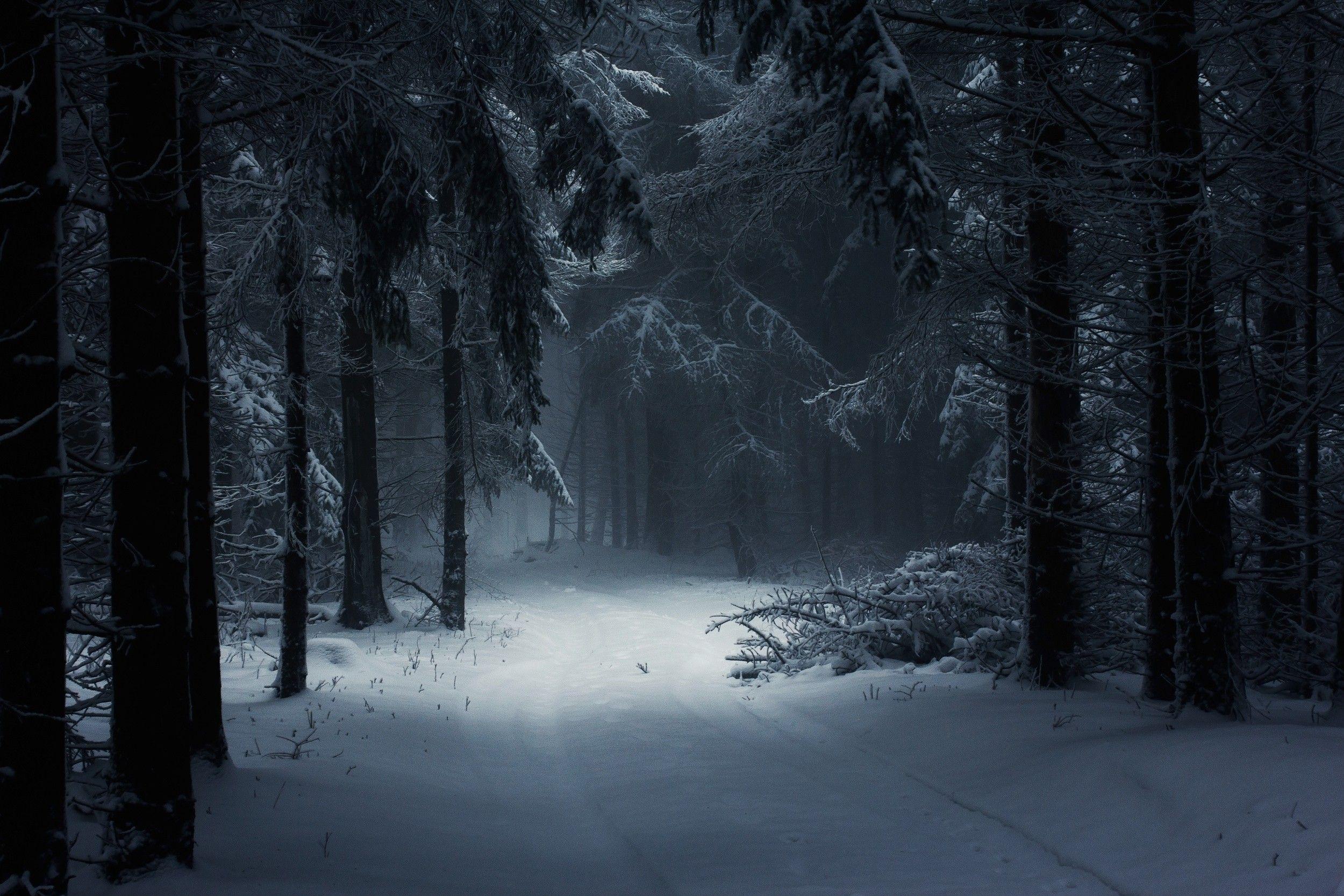 2500x1667 #photography, #snow, #path, #landscape, #forest, #atmosphere, #fairy tale, #winter, #Hungary, #mist, #daylight, #nature, #trees, wallpaper. Mocah.org HD Desktop Wallpaper