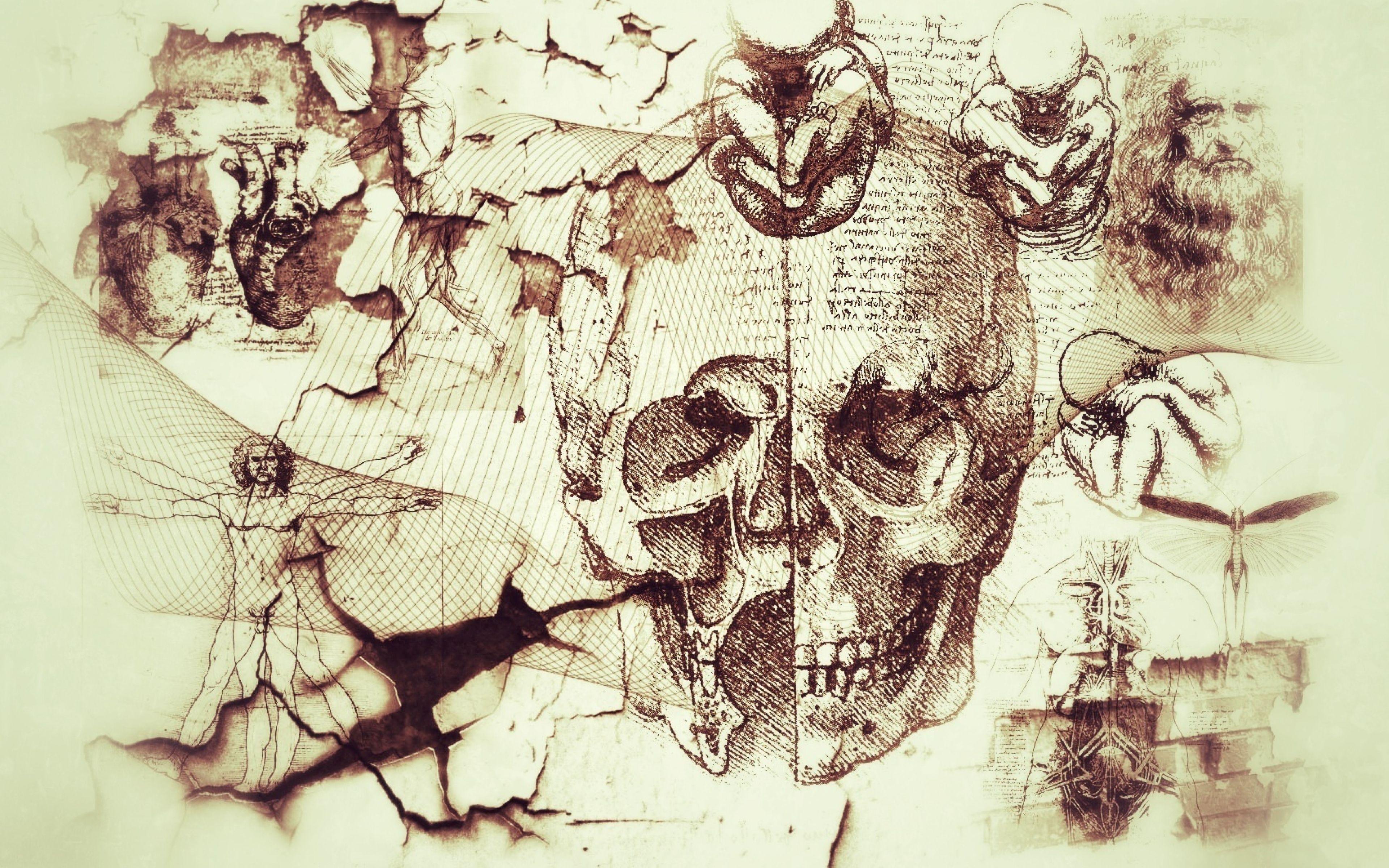 Leonardo Da Vinci Wallpapers Top Free Leonardo Da Vinci Backgrounds 