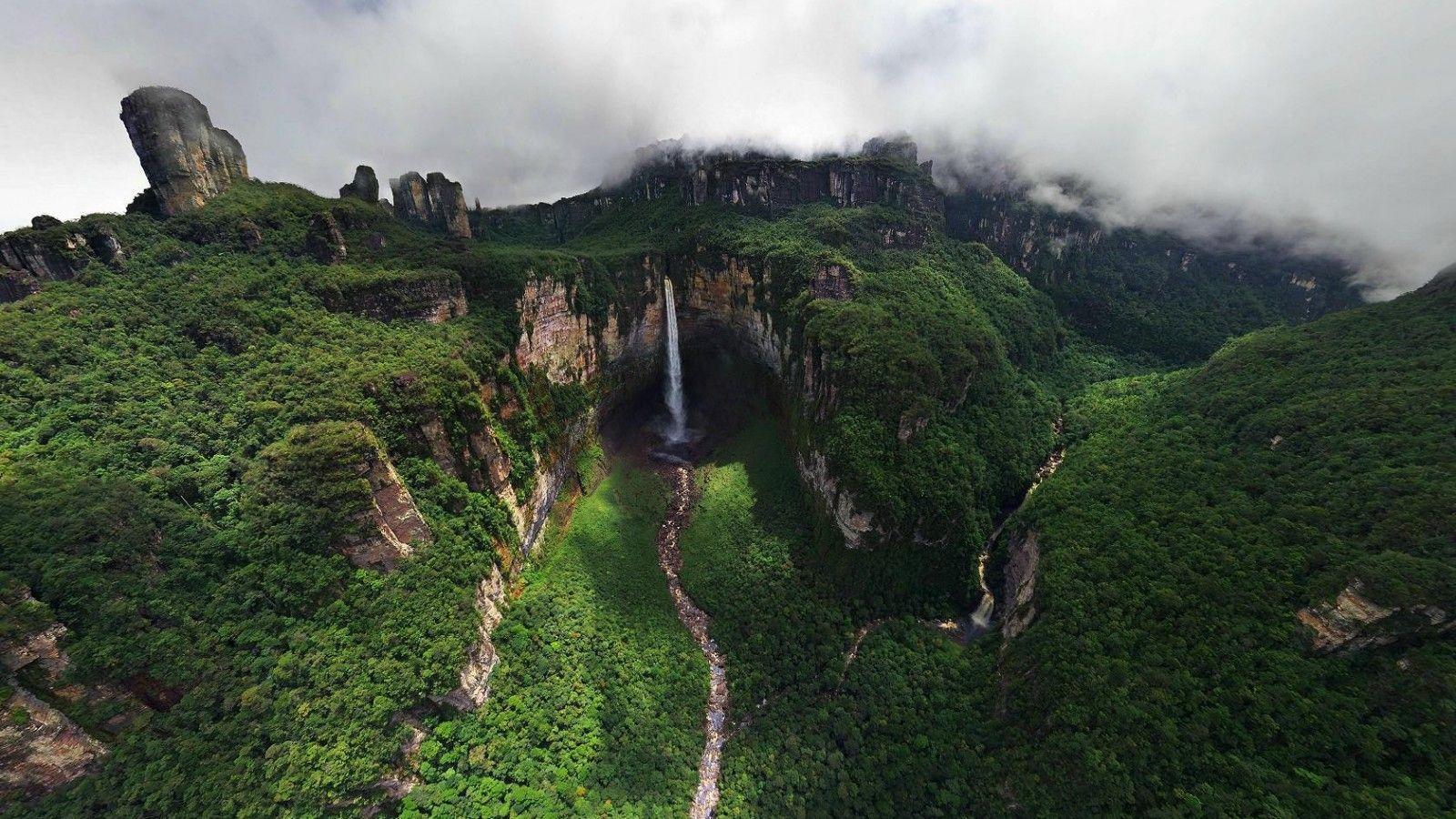 1600x900 Rainforest Full HD Quality Wallpaper, Widescreen Wallpaper