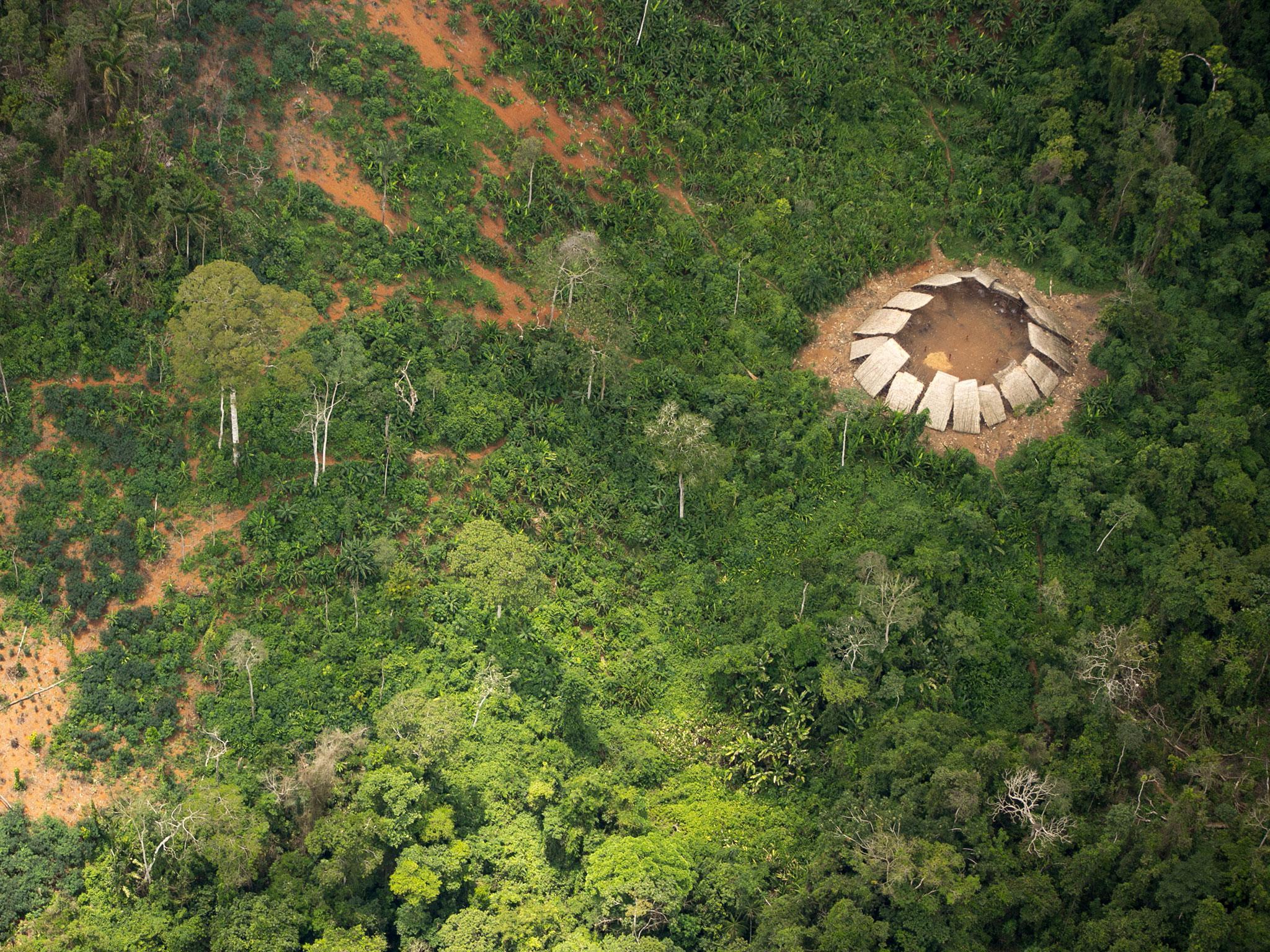 Venezuela Rainforest Wallpapers - Top Free Venezuela Rainforest