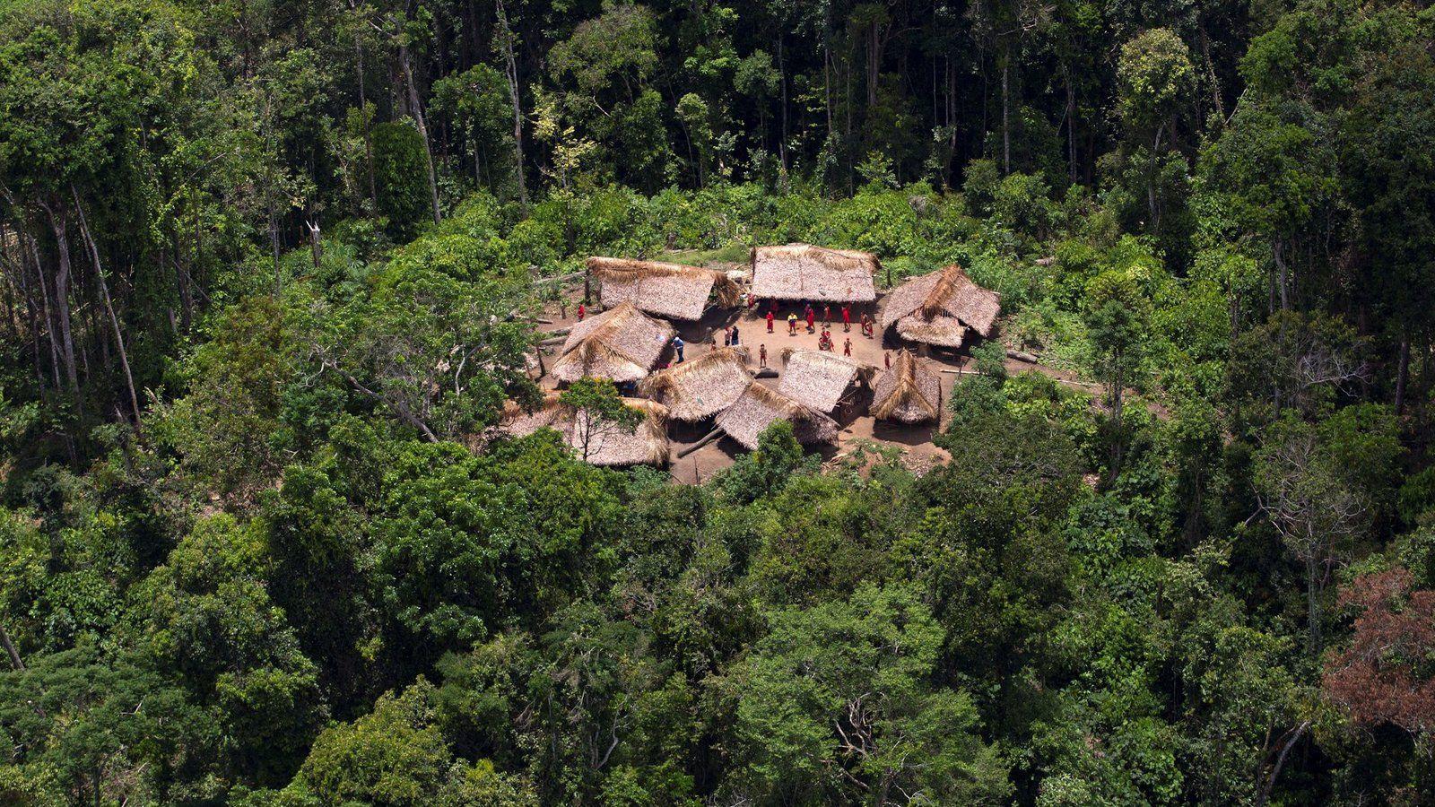 1600x900 Opinion. Covid 19: Lessons From The Yanomami In Brazil