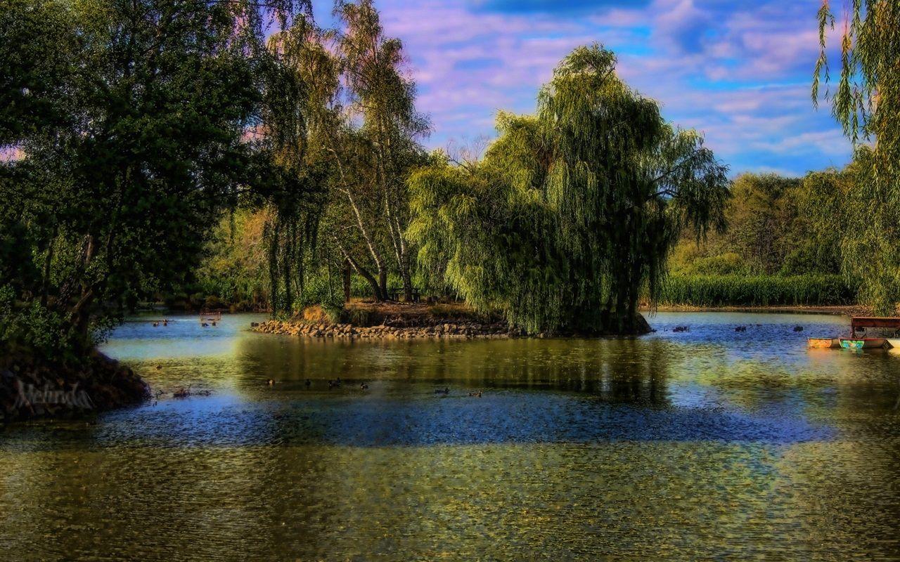 1280x800 Wallpaper Hungary, Gyongyos, trees, lake, park 1920x1200 HD Picture, Image