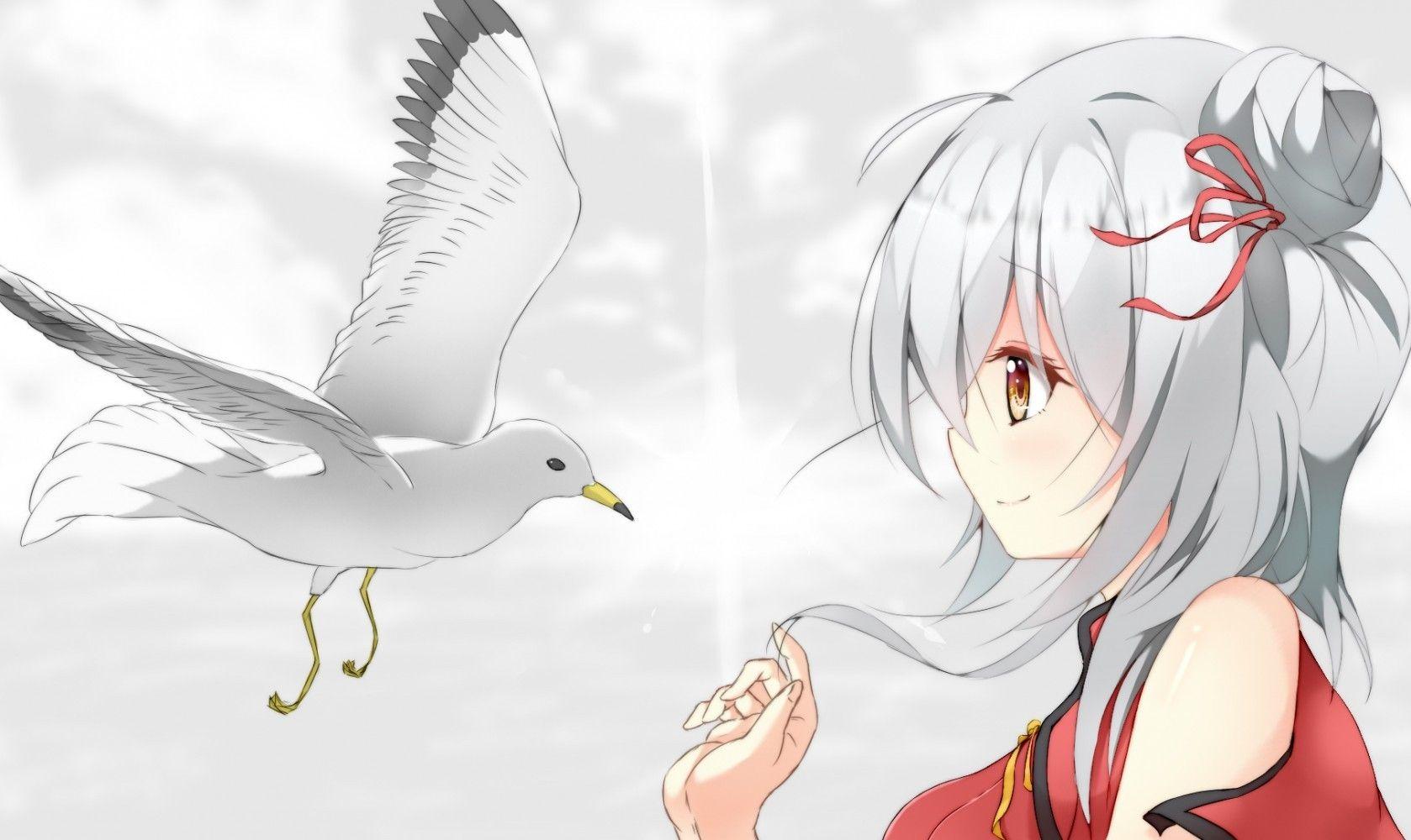 1678x1000 Download 1678x1000 Anime Girl, Profile View, White Hair, Bird Wallpaper