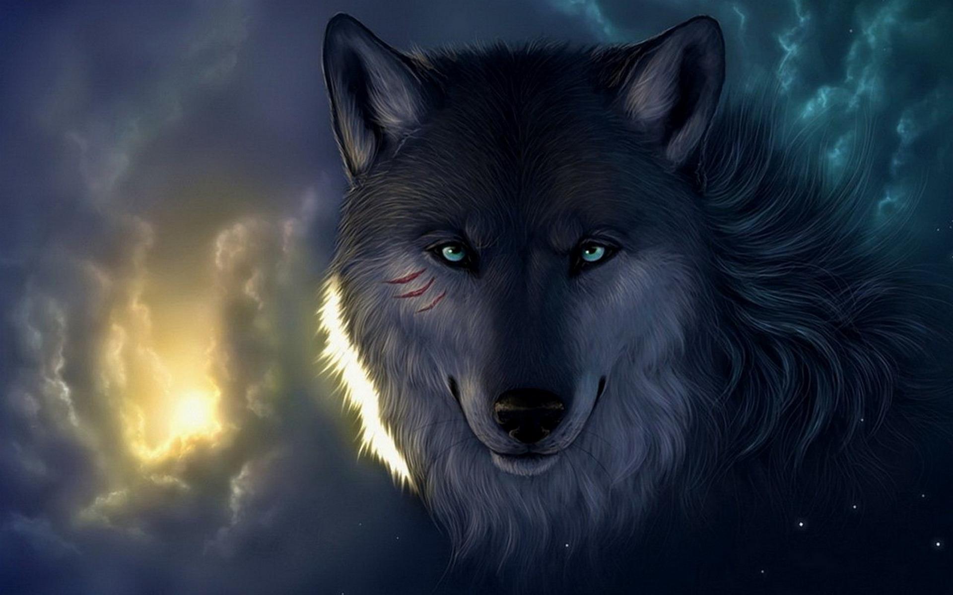 1920x1200 Wolf PC Wallpaper (1920x1200 px)