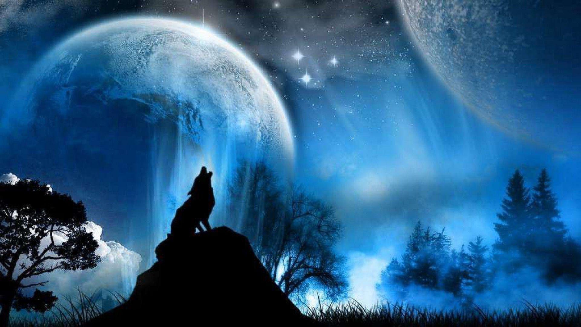 1920x1080 Wolf Wallpaper for Desktop