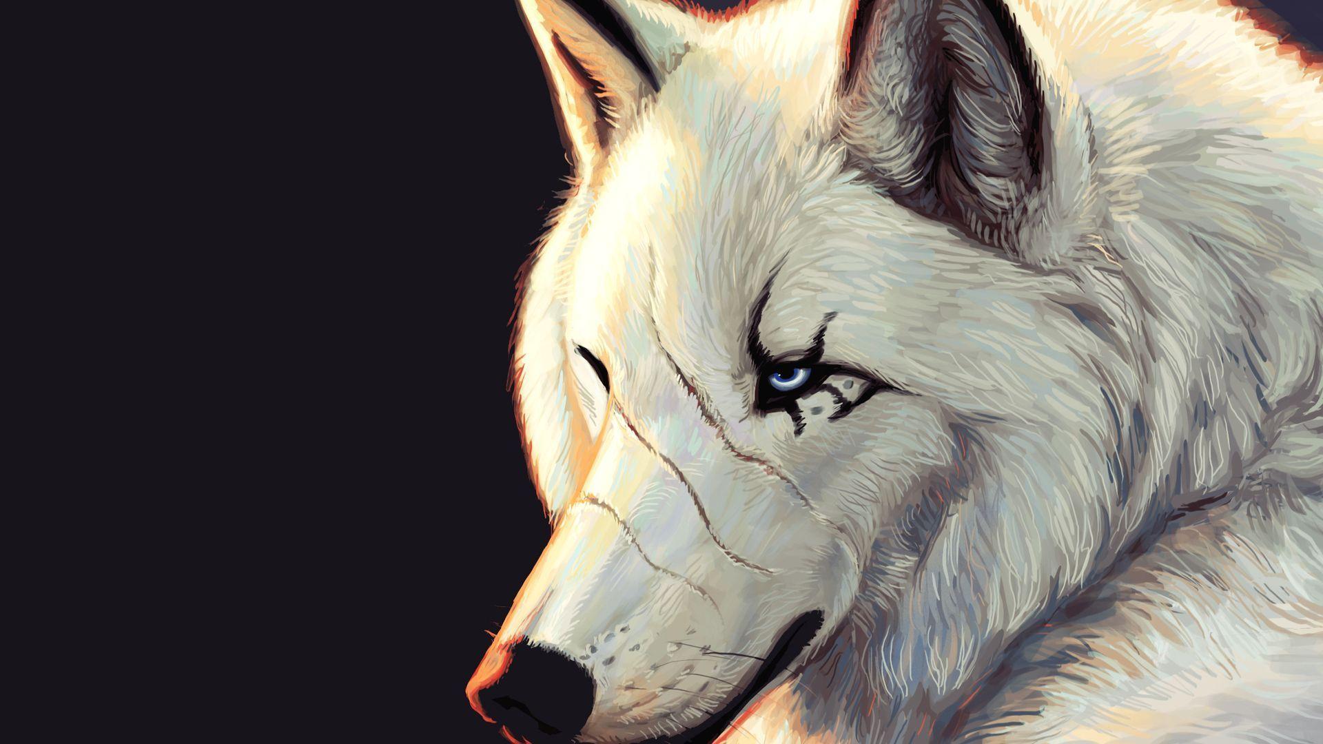 1920x1080 Wolf HD Desktop Wallpaper