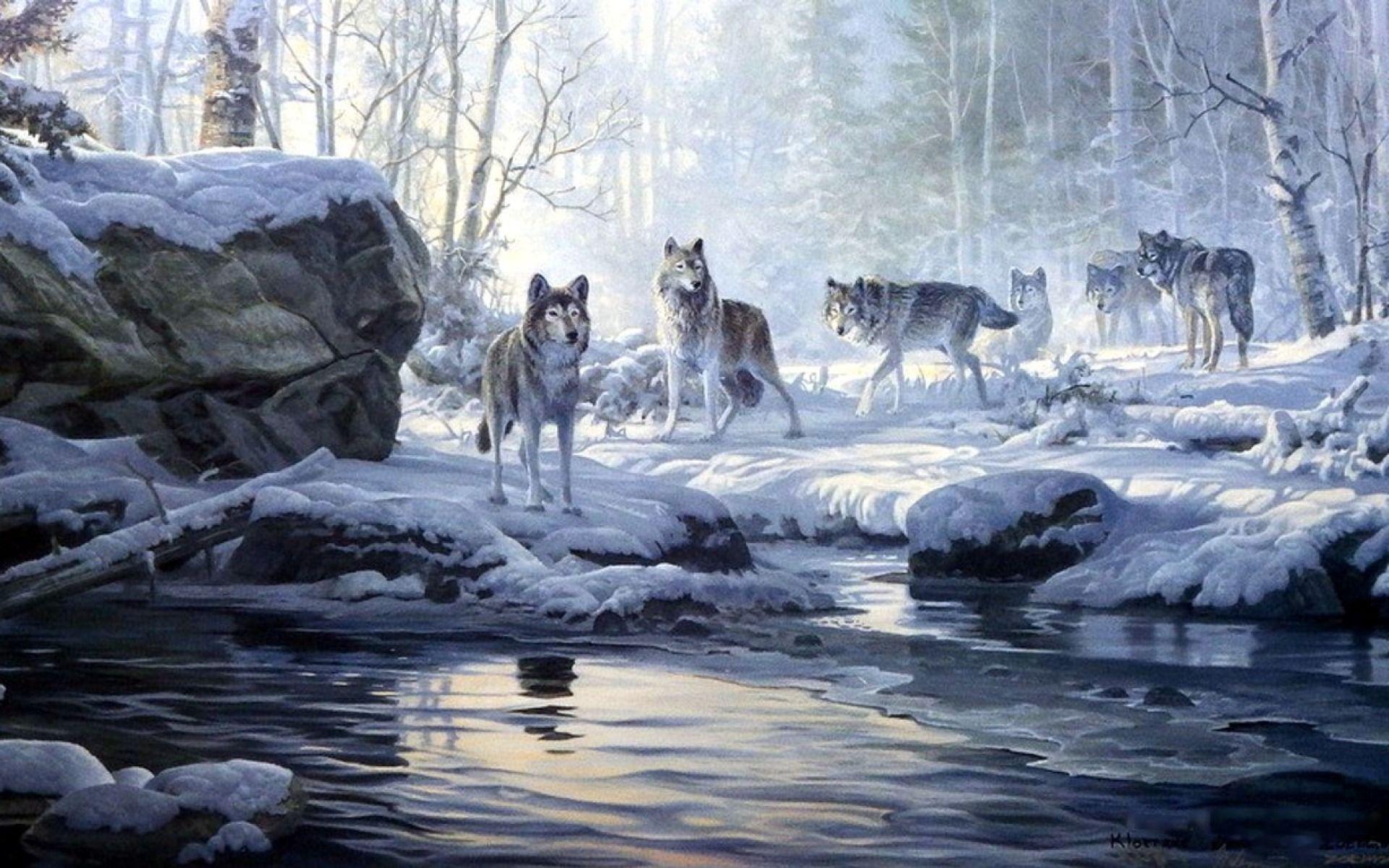 1920x1200 Winter Forest Wolves Creek desktop PC and Mac wallpaper
