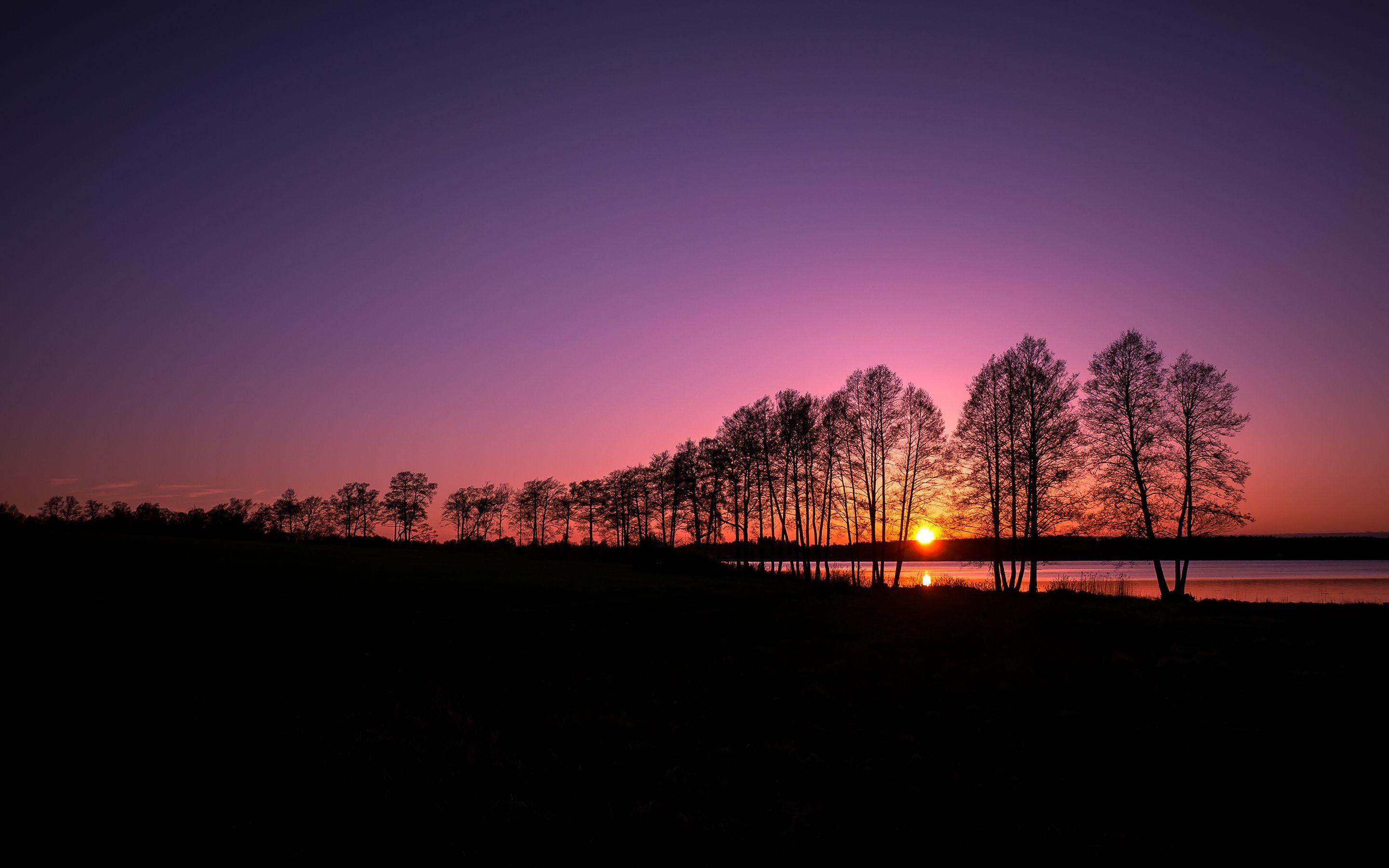 2880x1800 Gorgeous Sunset Silhouette Wallpaper. Tree silhouette wallpaper, Sunset wallpaper, Nature wallpaper